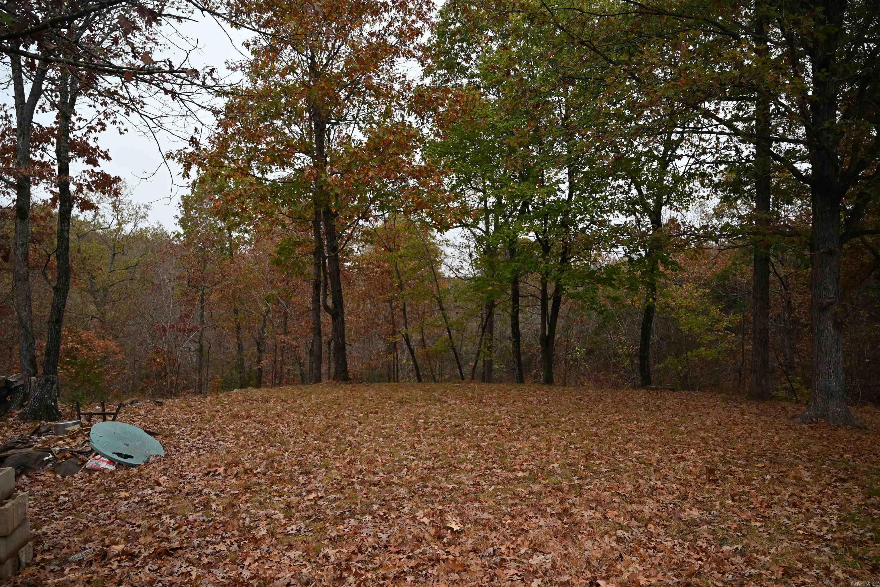 347 NC 6313 Deer, AR 72856