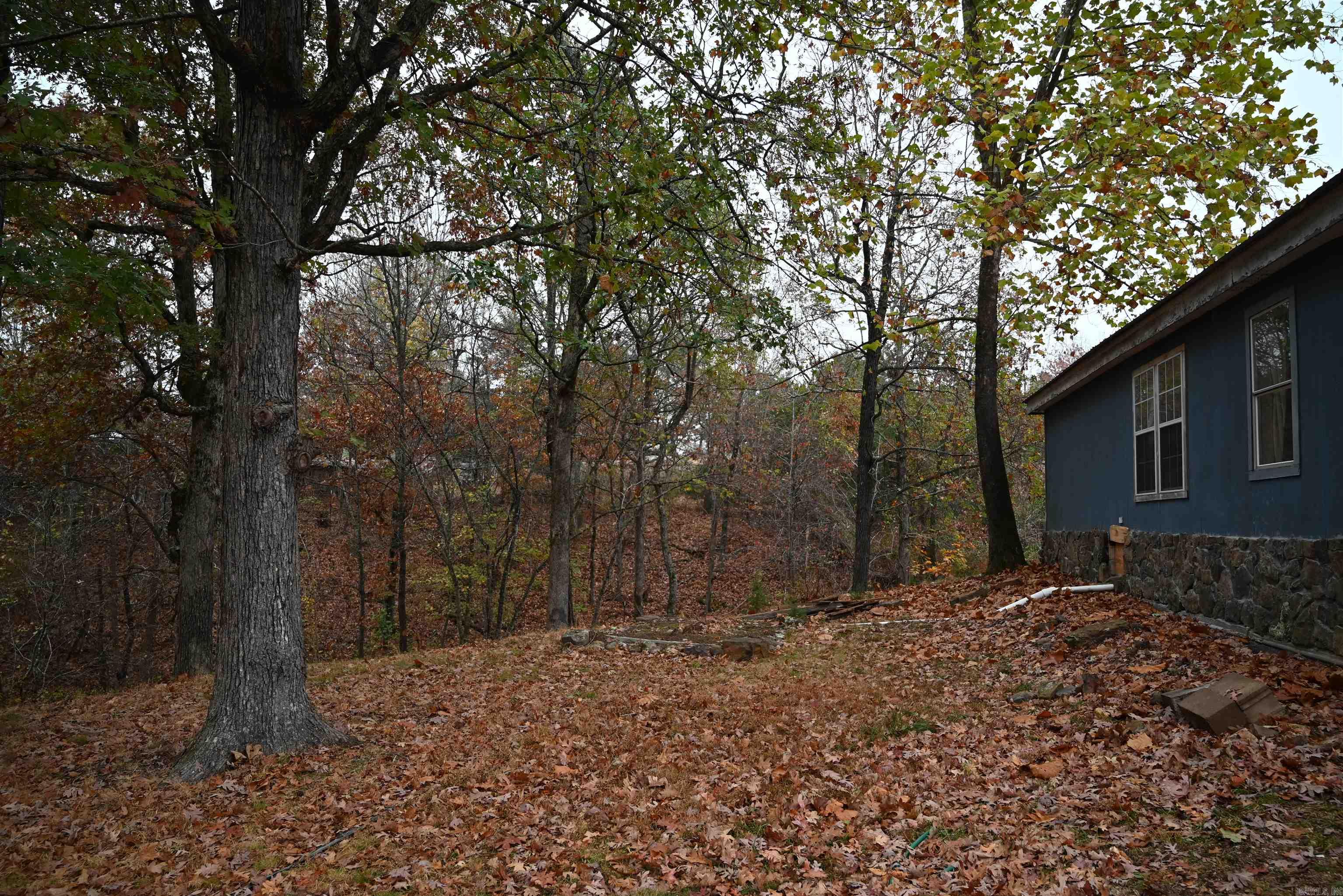 347 NC 6313 Deer, AR 72856