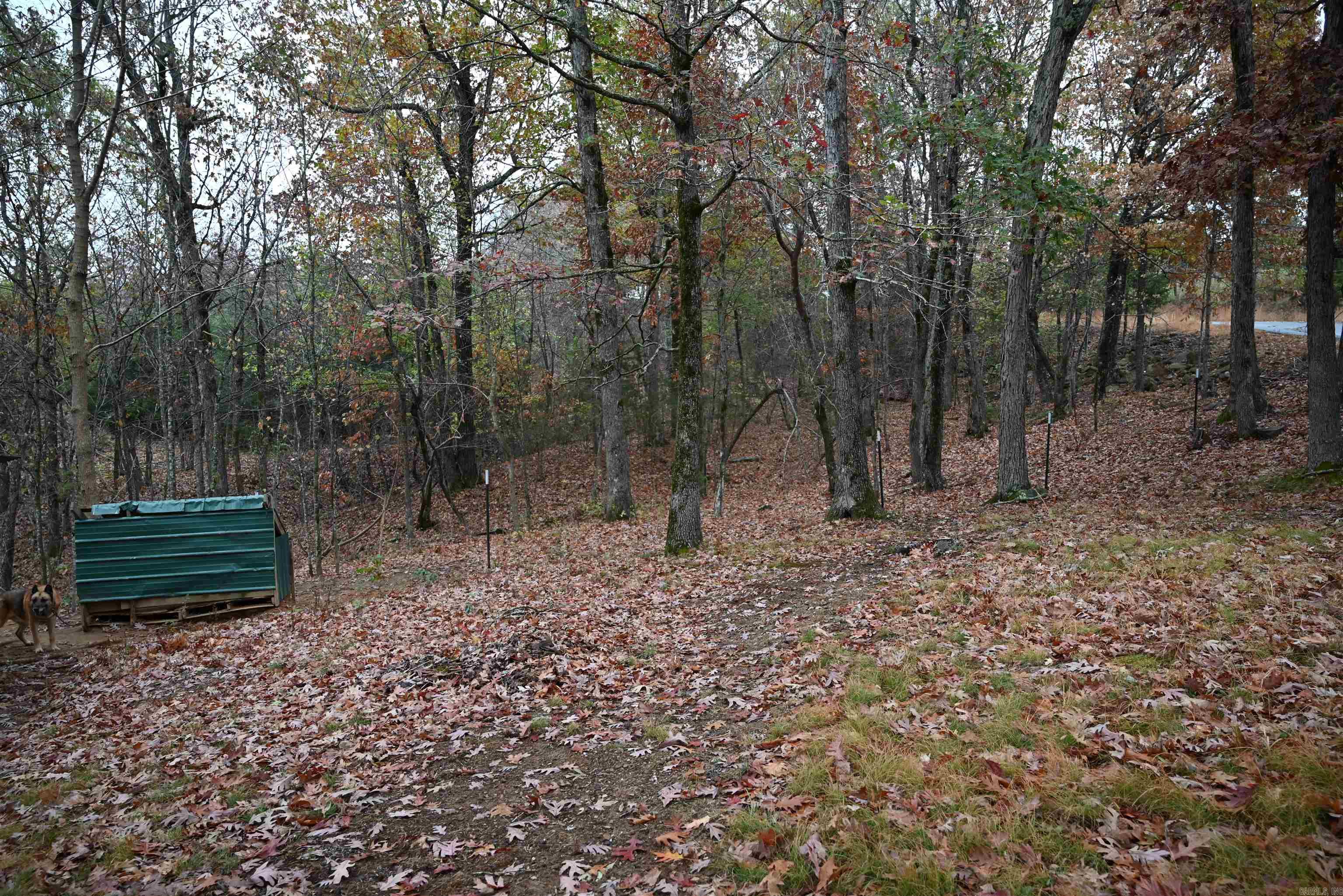 347 NC 6313 Deer, AR 72856