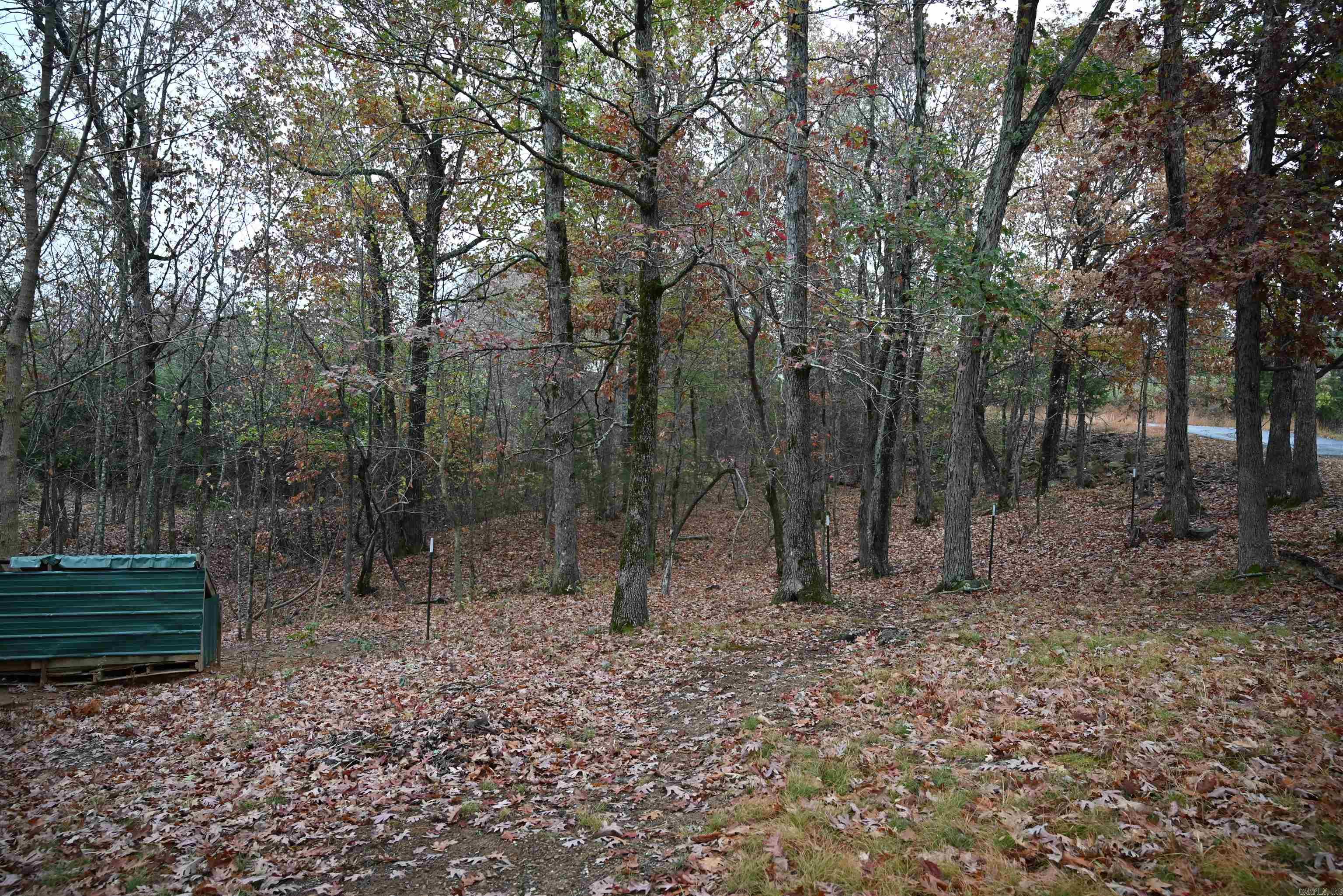 347 NC 6313 Deer, AR 72856