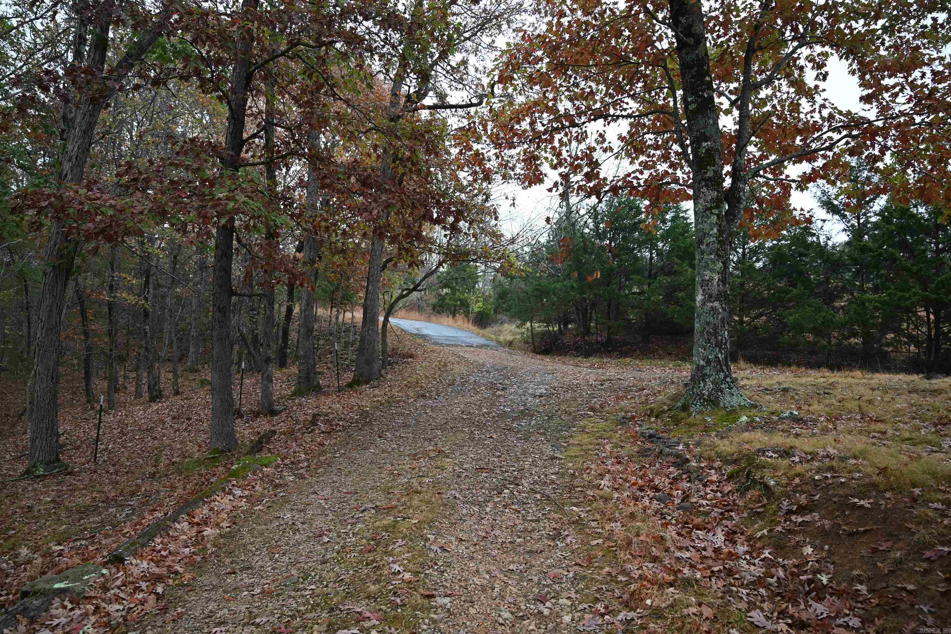347 NC 6313 Deer, AR 72856