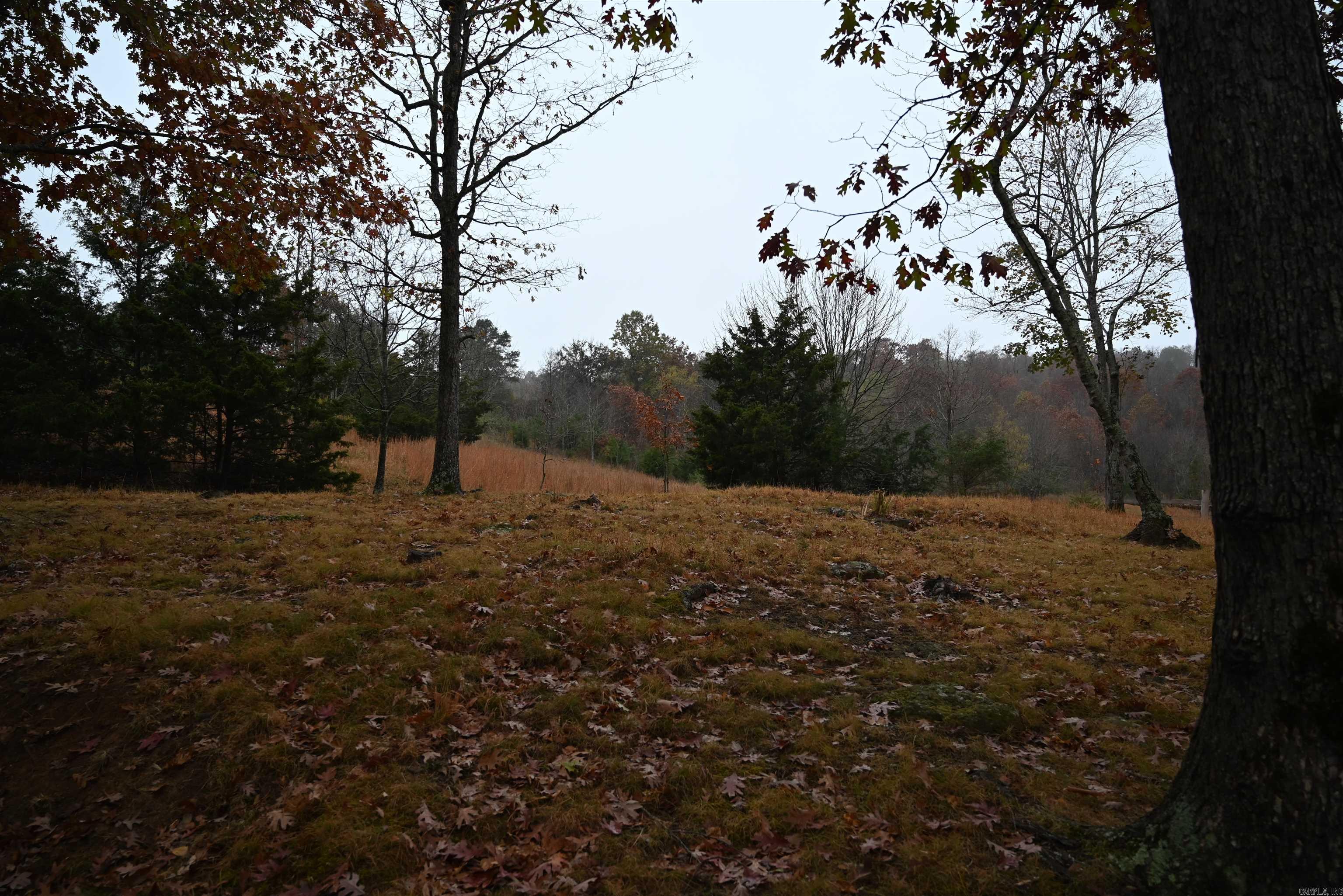 347 NC 6313 Deer, AR 72856