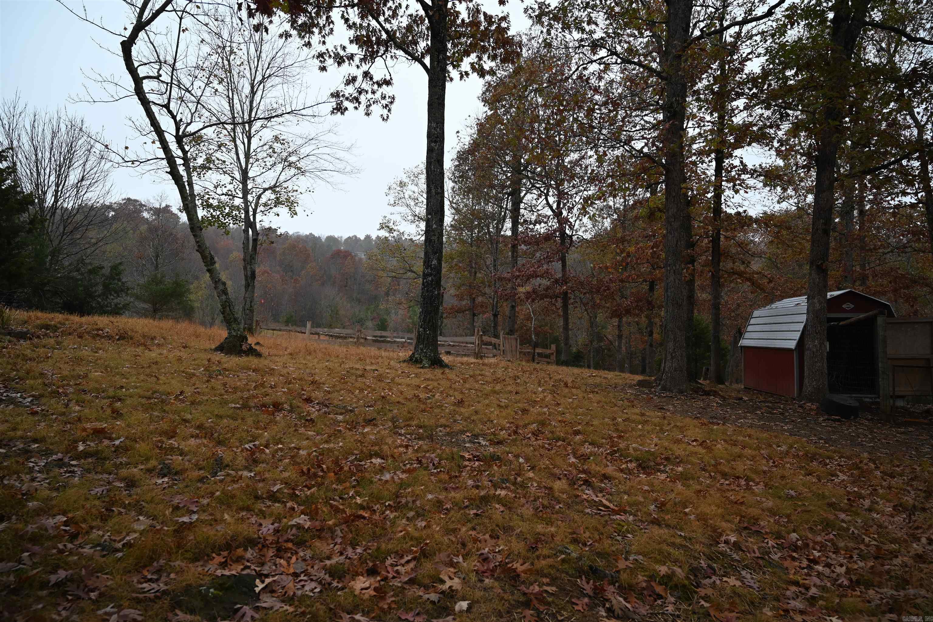 347 NC 6313 Deer, AR 72856