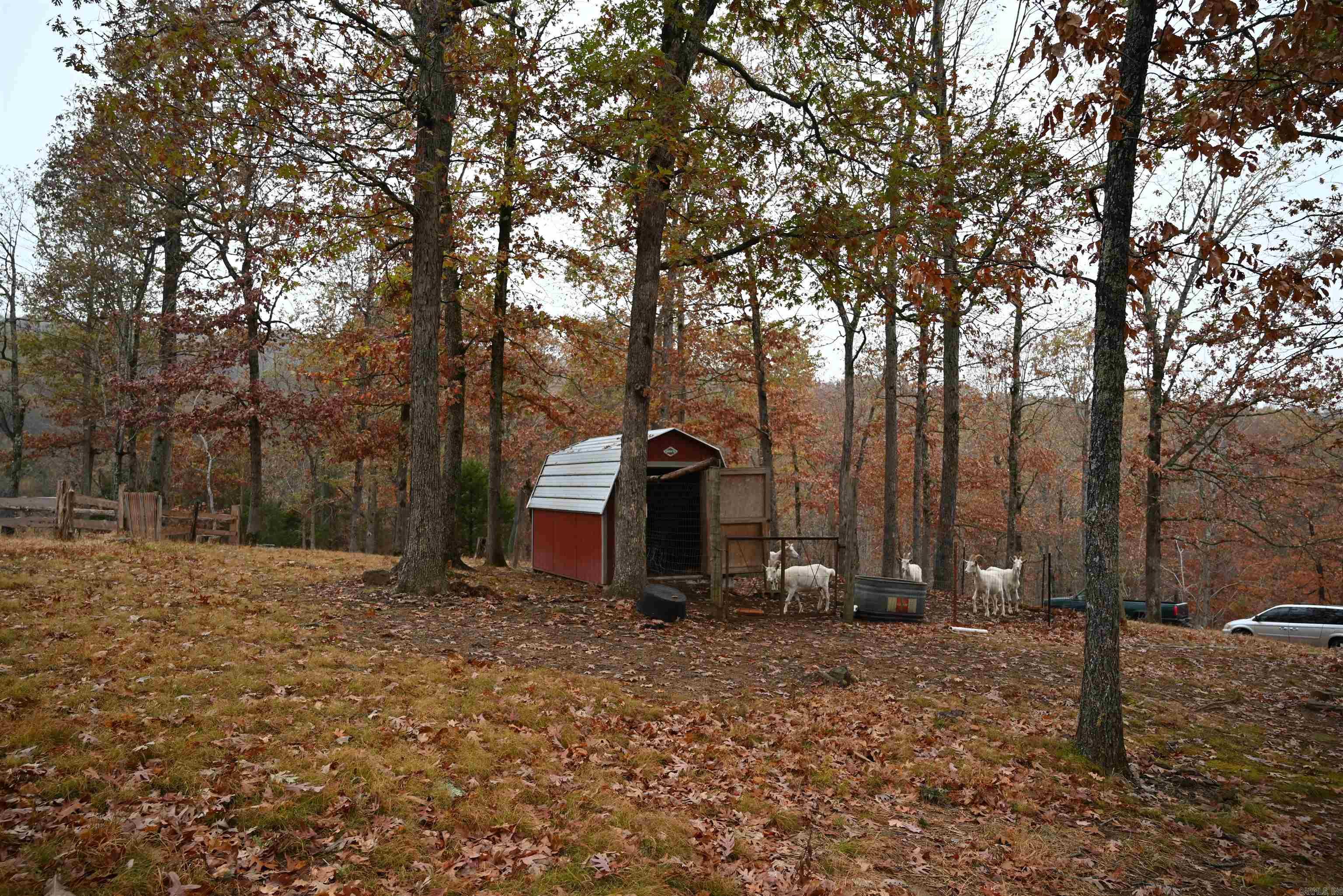347 NC 6313 Deer, AR 72856