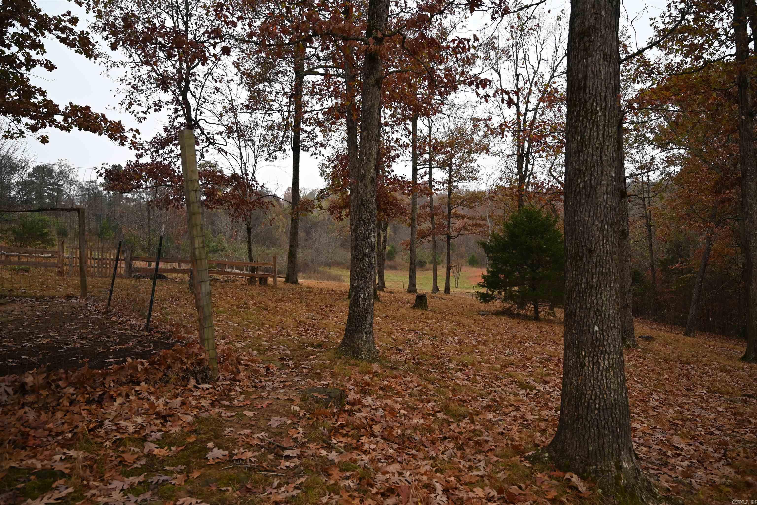 347 NC 6313 Deer, AR 72856