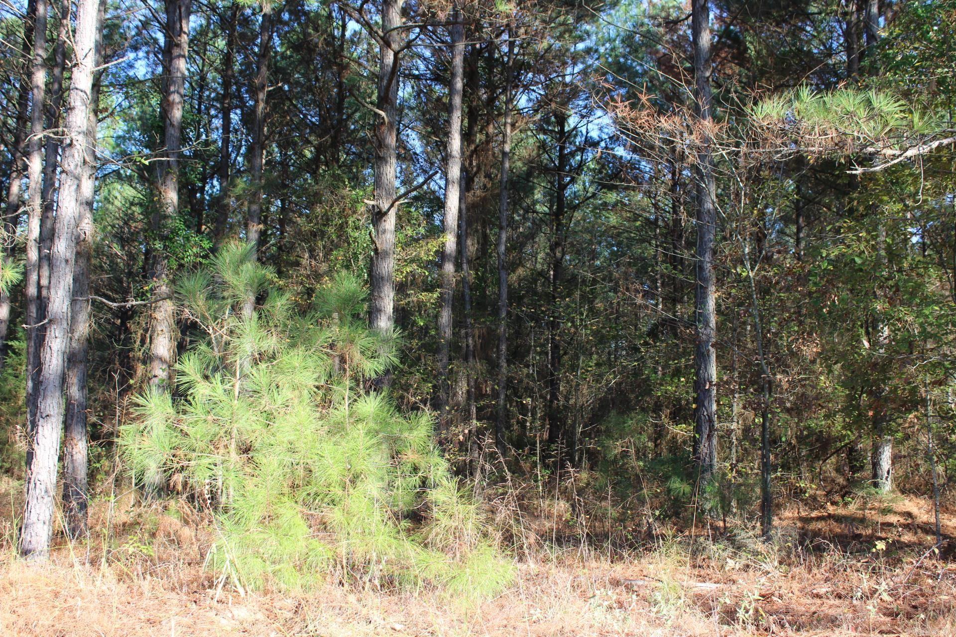   Hempstead 347  Nashville, AR