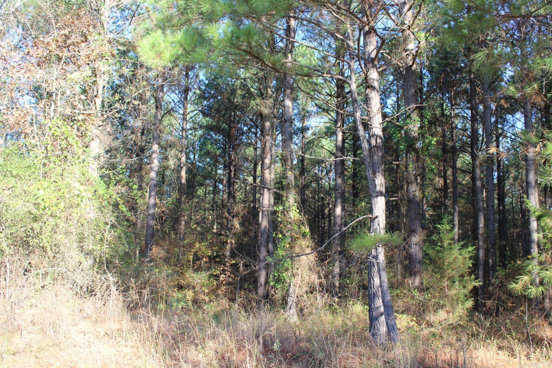   Hempstead 347  Nashville, AR