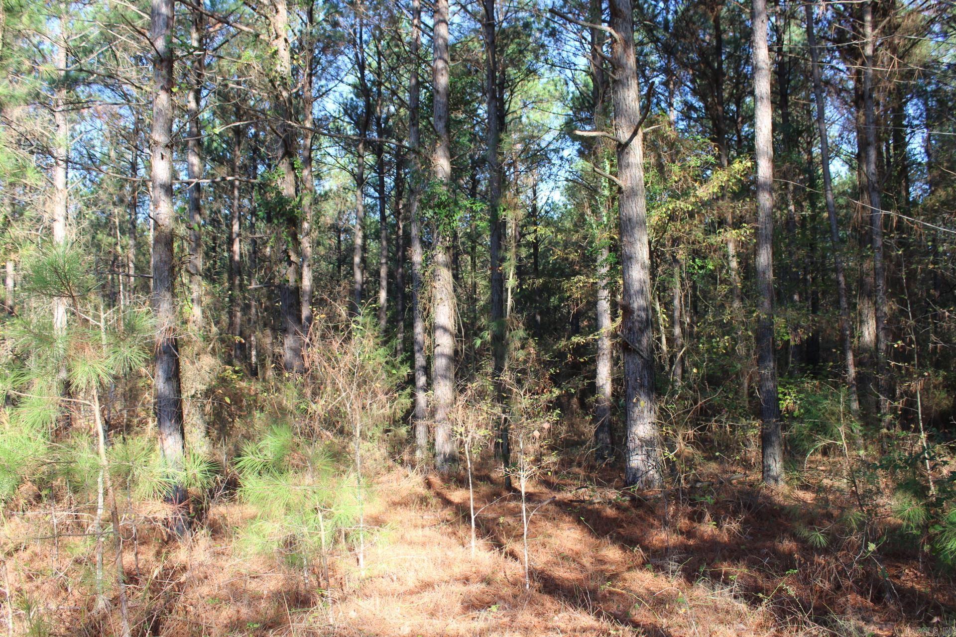   Hempstead 347  Nashville, AR