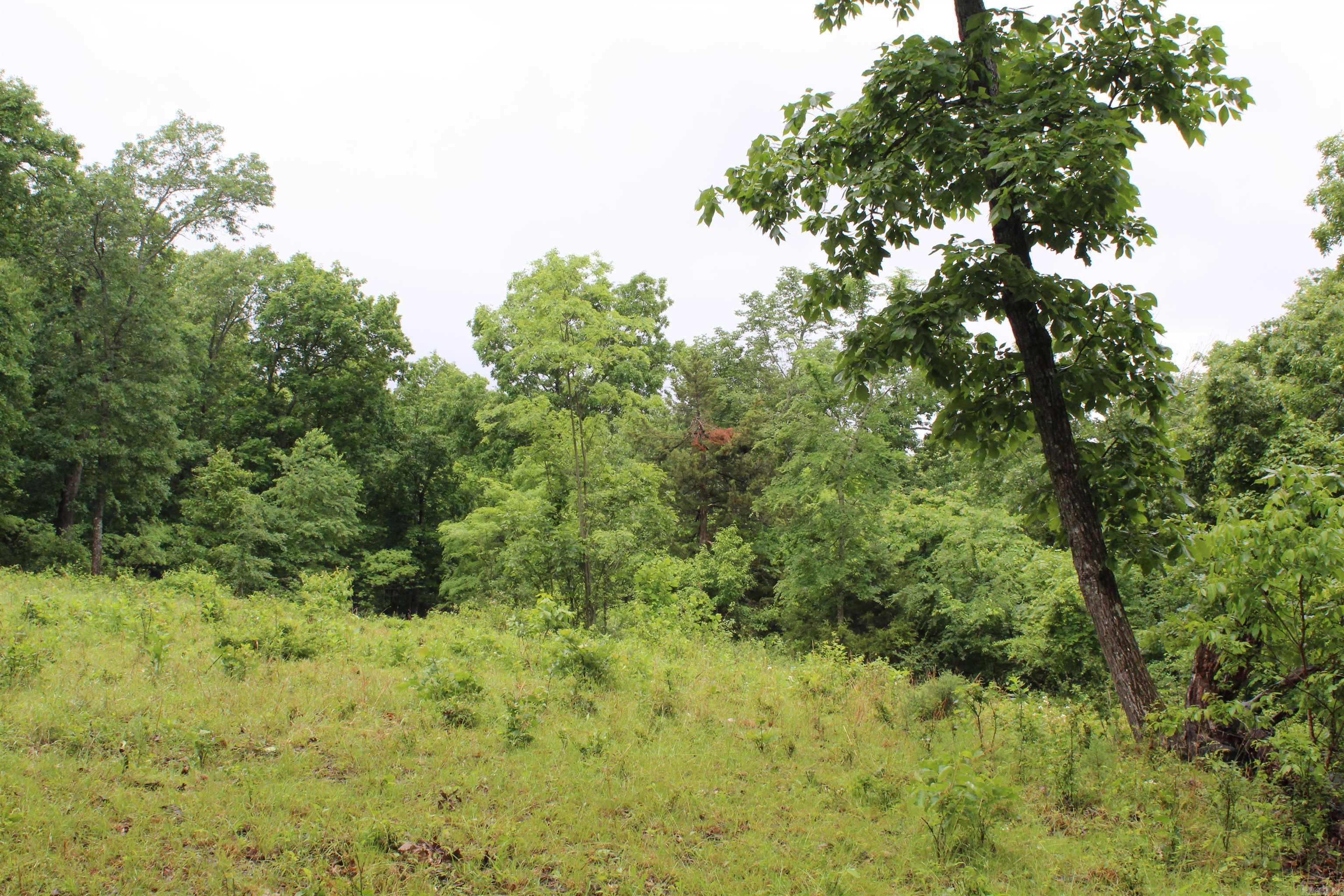 001-08869-000  MC 8118  Yellville, AR