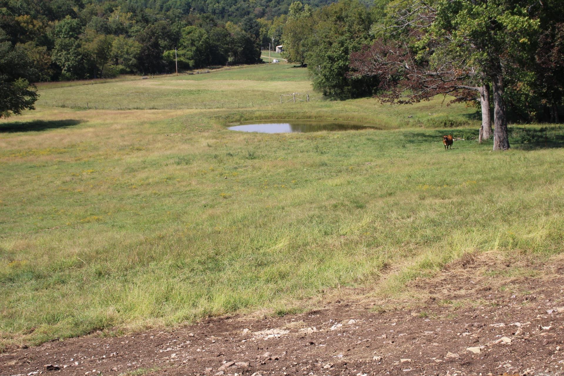001-08869-000  MC 8118  Yellville, AR