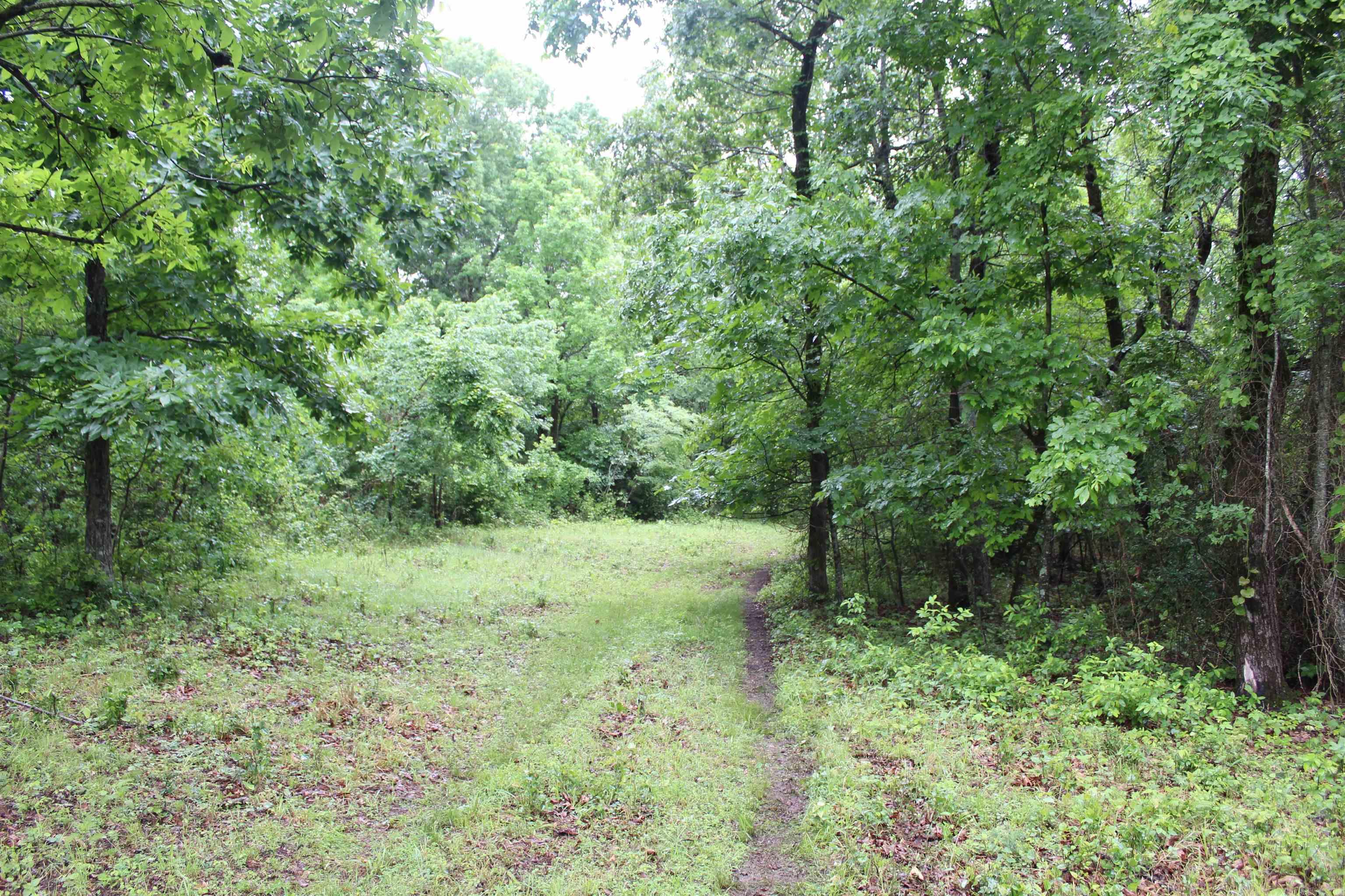 001-08869-000  MC 8118  Yellville, AR