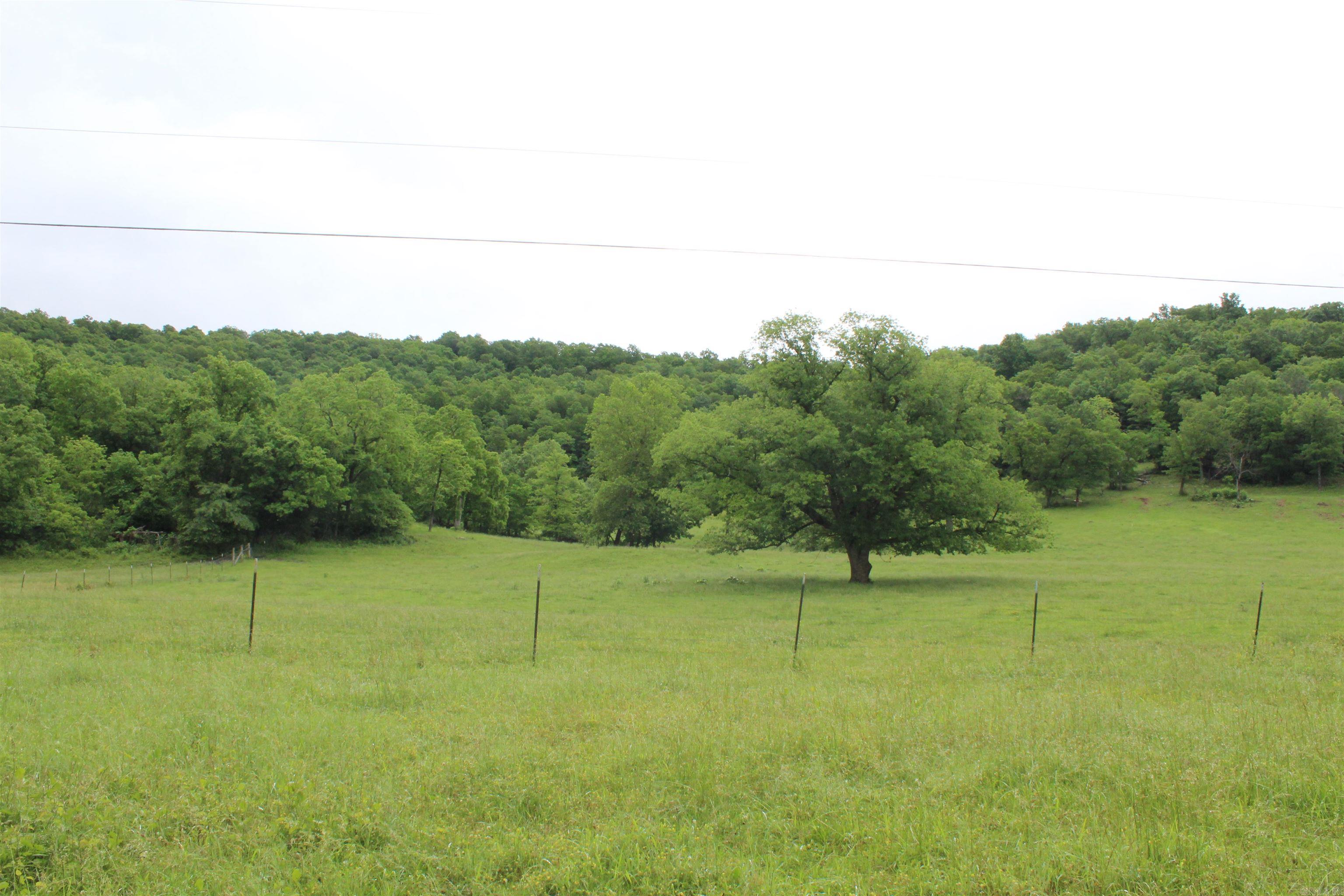 001-08869-000  MC 8118  Yellville, AR