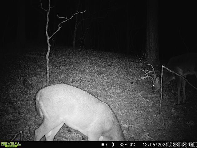 2341  Still Hollow Trail  Little Rock, AR