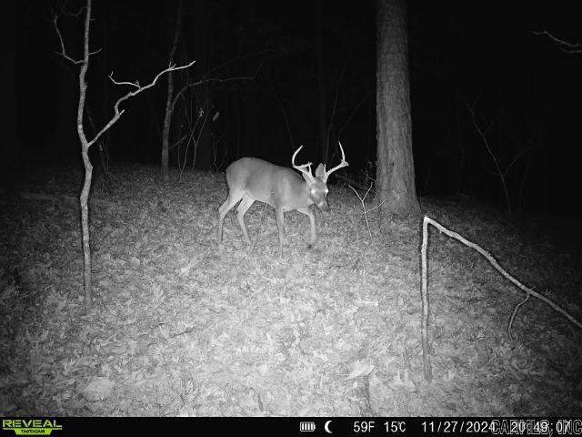 2341  Still Hollow Trail  Little Rock, AR