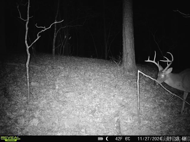 2341  Still Hollow Trail  Little Rock, AR