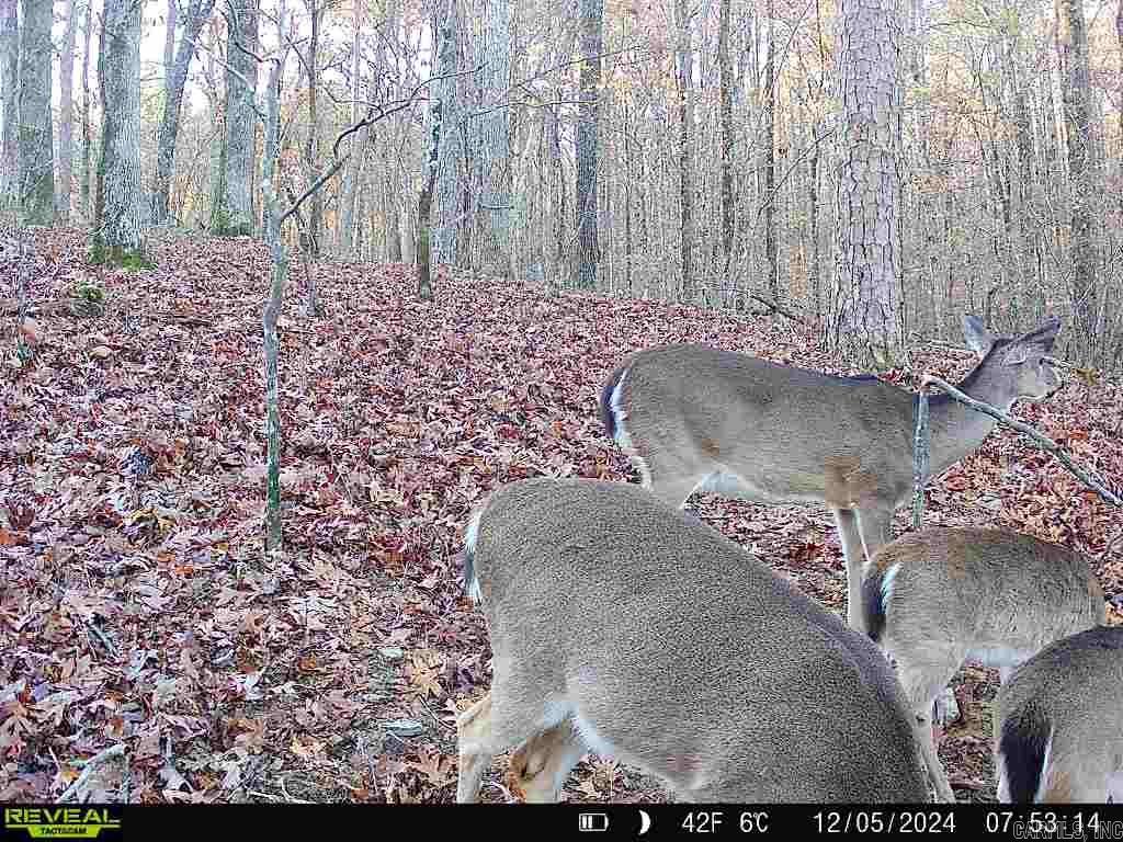 2341  Still Hollow Trail  Little Rock, AR