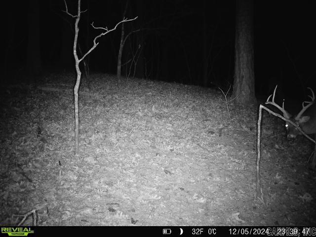 2341  Still Hollow Trail  Little Rock, AR