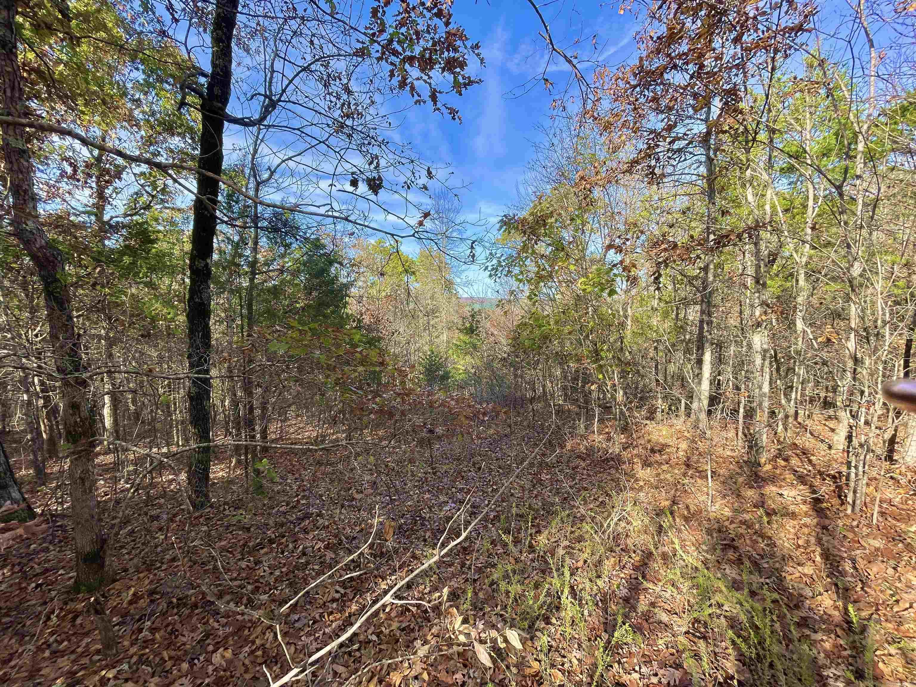 Lot 2 Eagle Ridge Dr. Greers Ferry, AR 72067