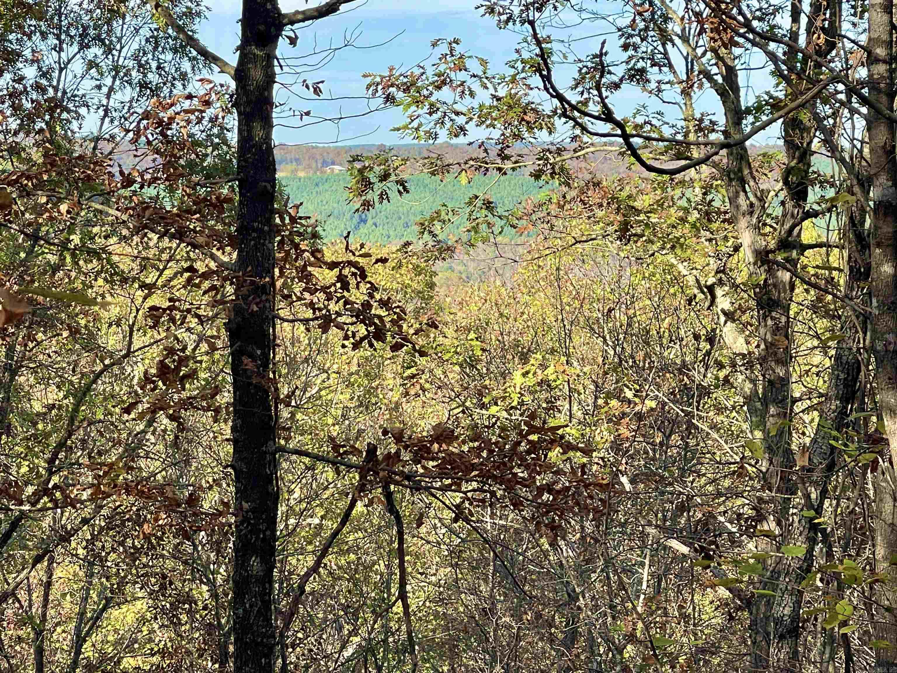 Lot 2 Eagle Ridge Dr. Greers Ferry, AR 72067