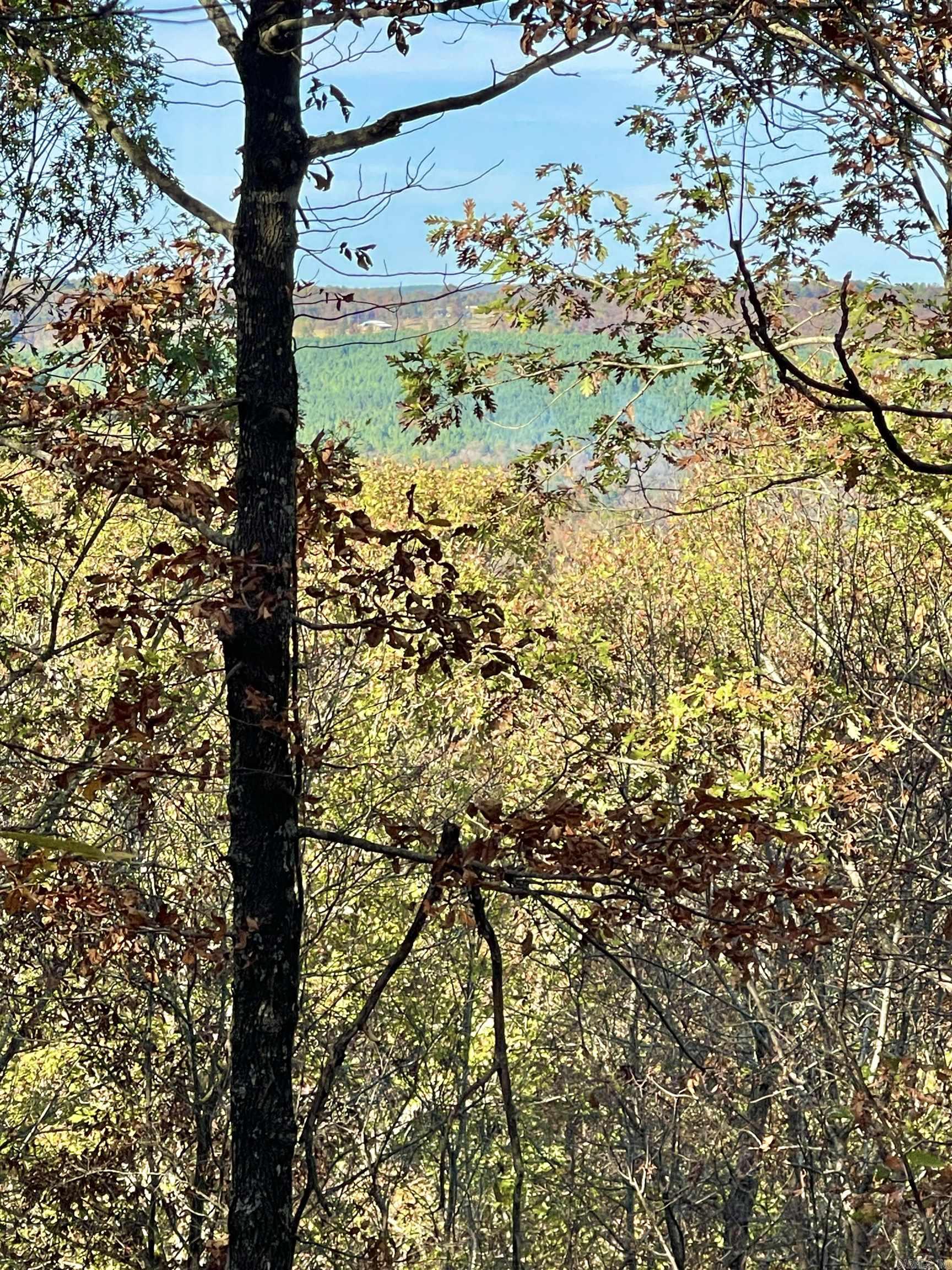 Lot 2 Eagle Ridge Dr. Greers Ferry, AR 72067