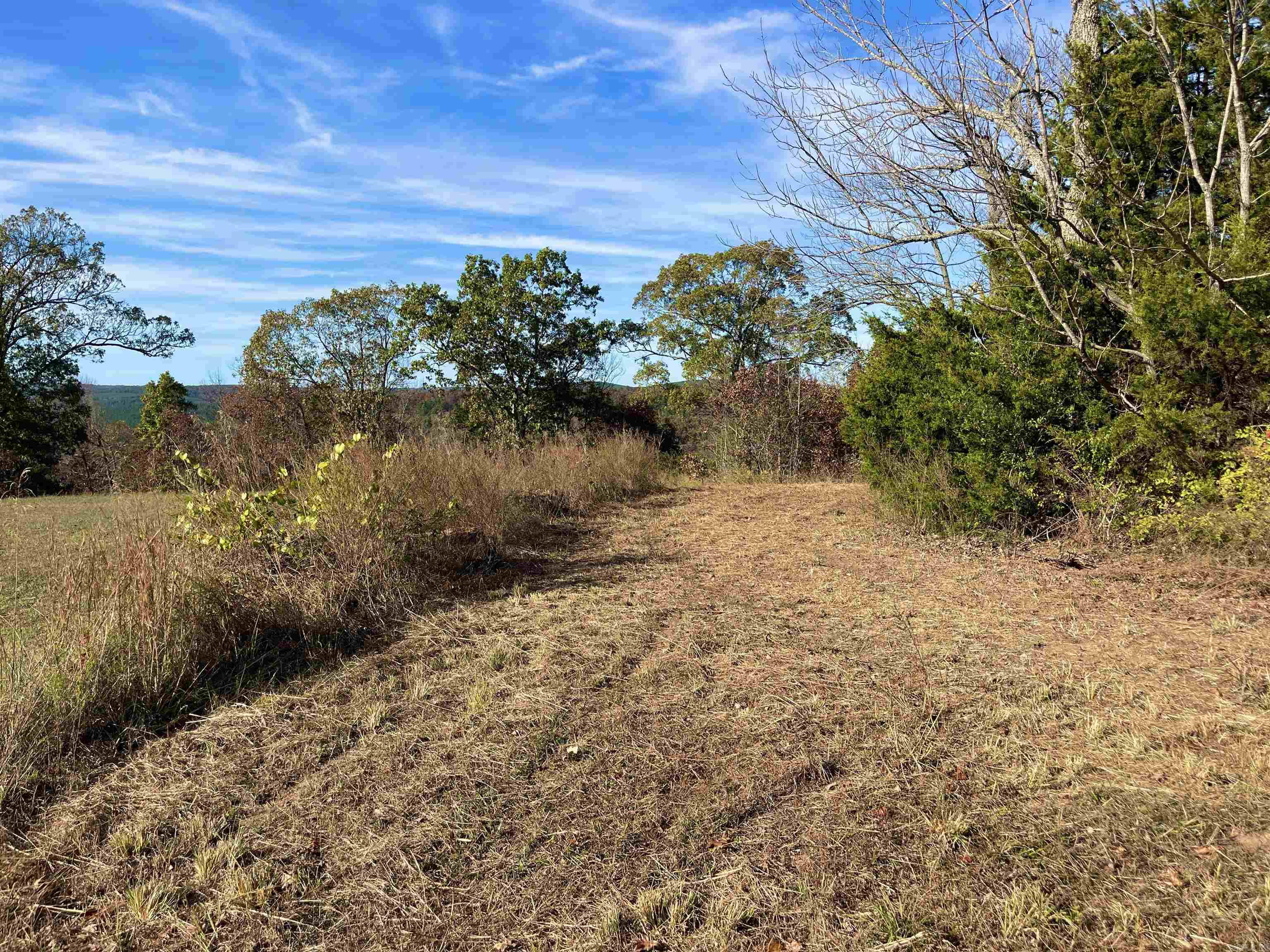 Lot 2 Eagle Ridge Dr. Greers Ferry, AR 72067