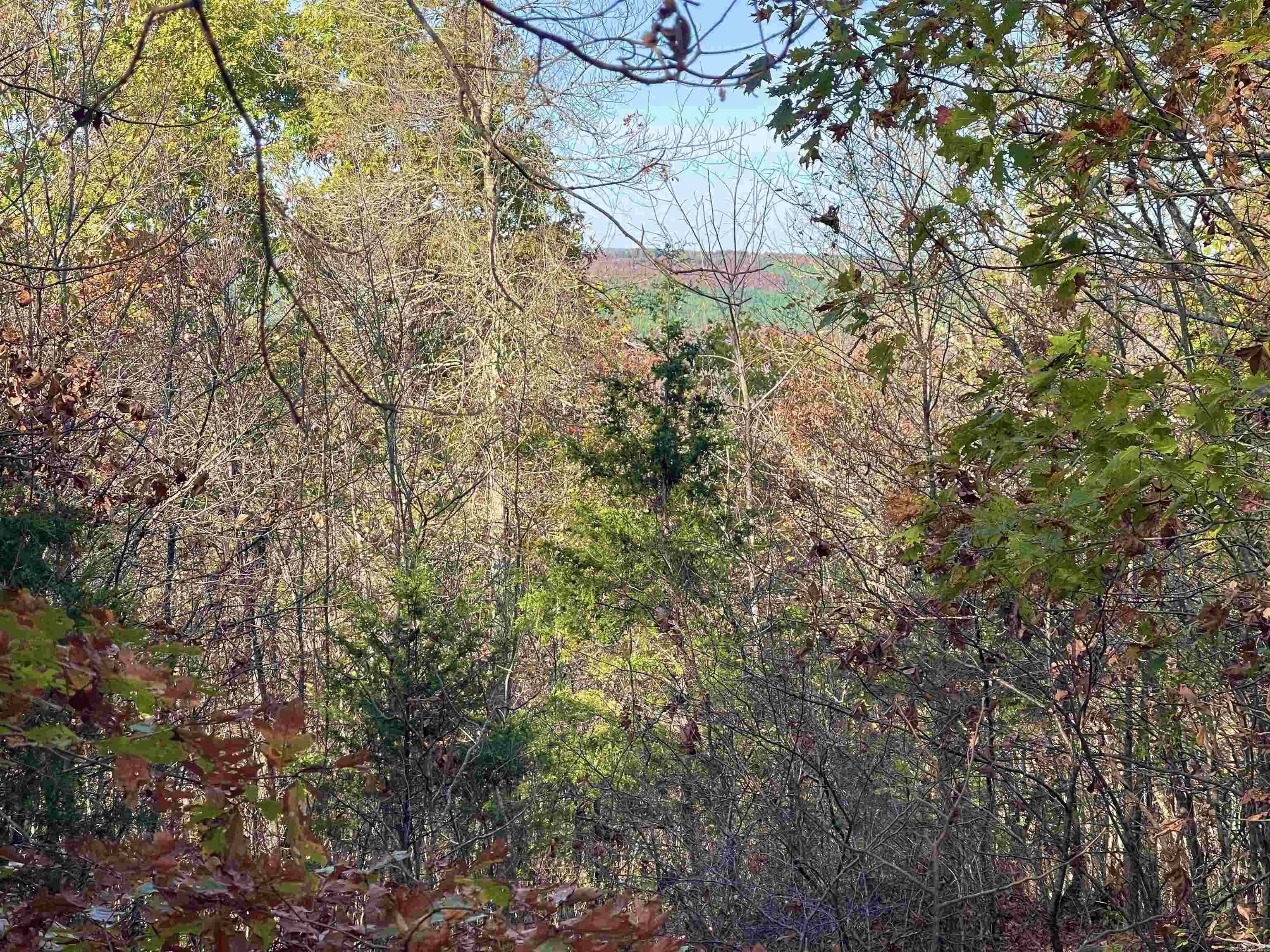 Lot 4 Eagle Ridge Dr. Greers Ferry, AR 72067