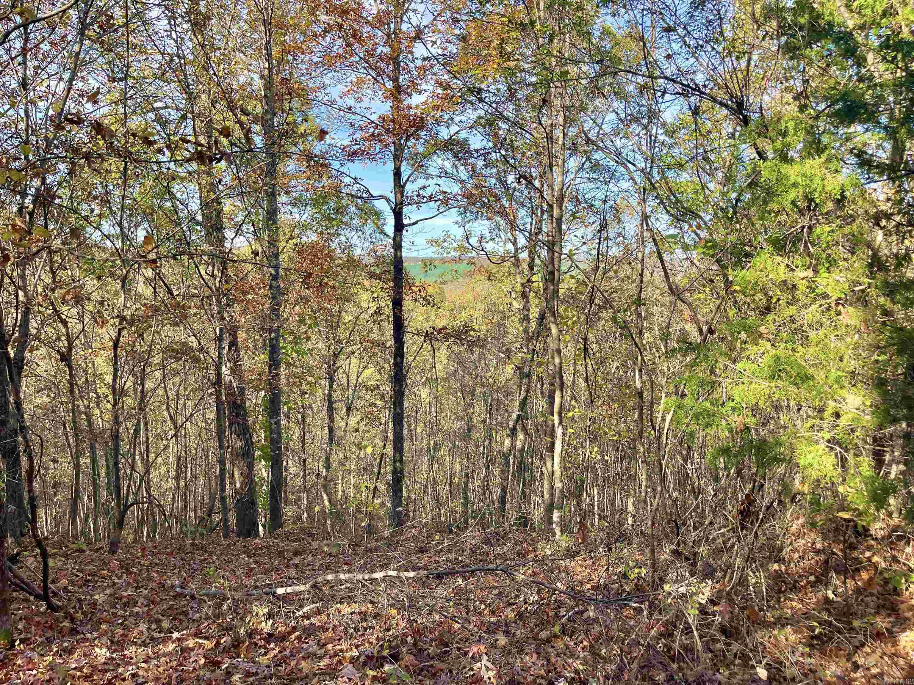 Lot 4 Eagle Ridge Dr. Greers Ferry, AR 72067