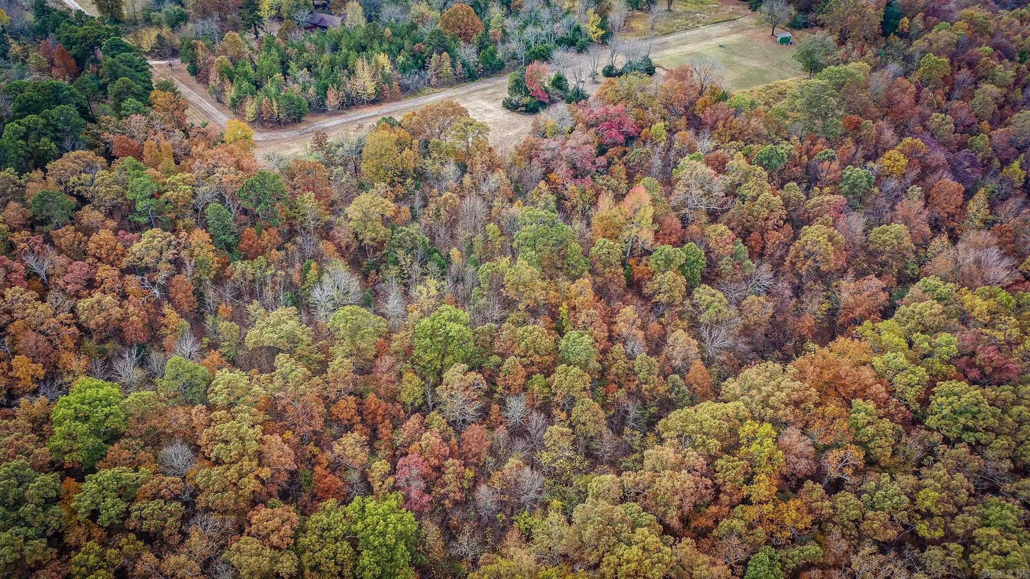 Lot 4 Eagle Ridge Dr. Greers Ferry, AR 72067
