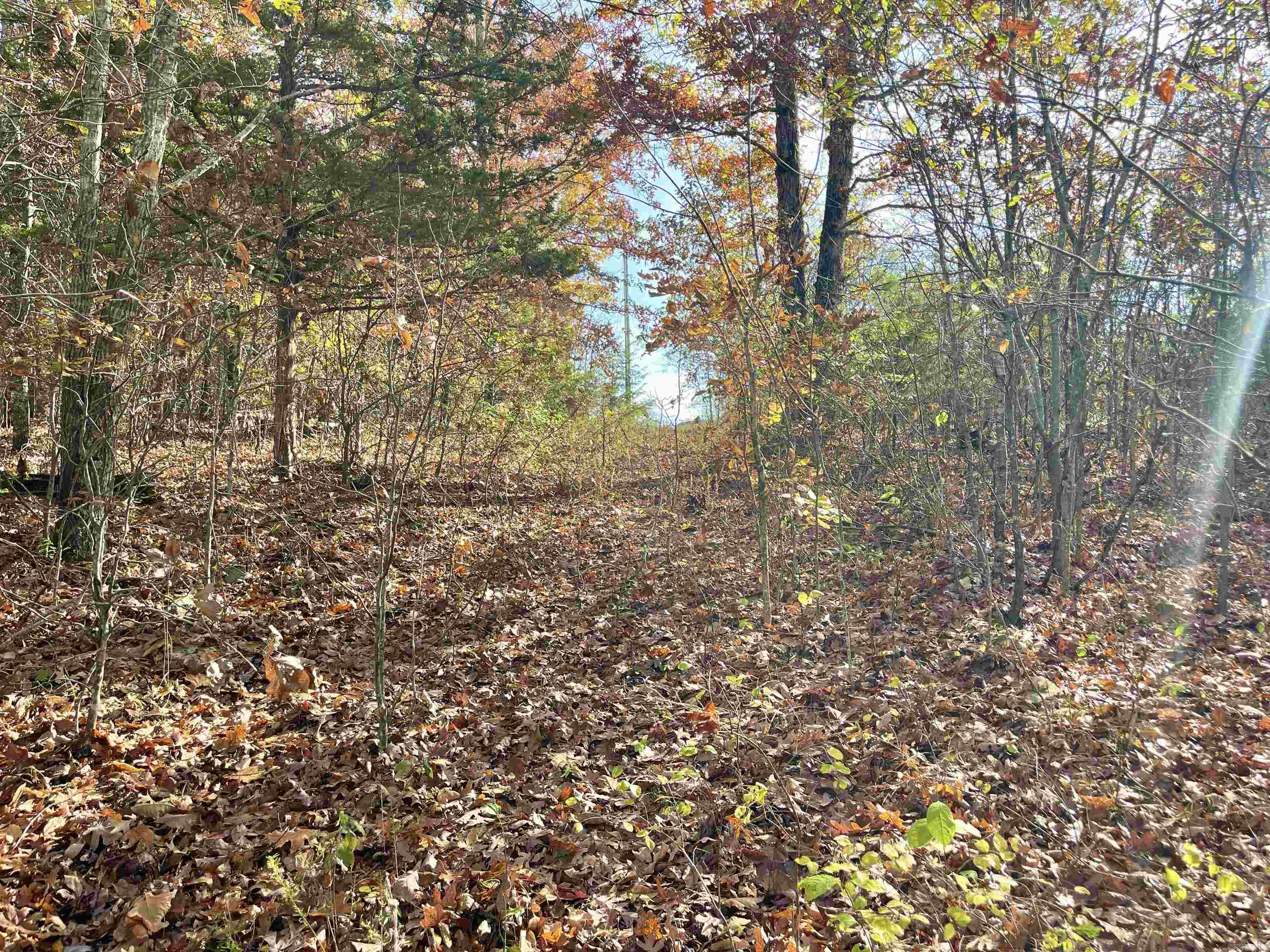 Lot 4 Eagle Ridge Dr. Greers Ferry, AR 72067
