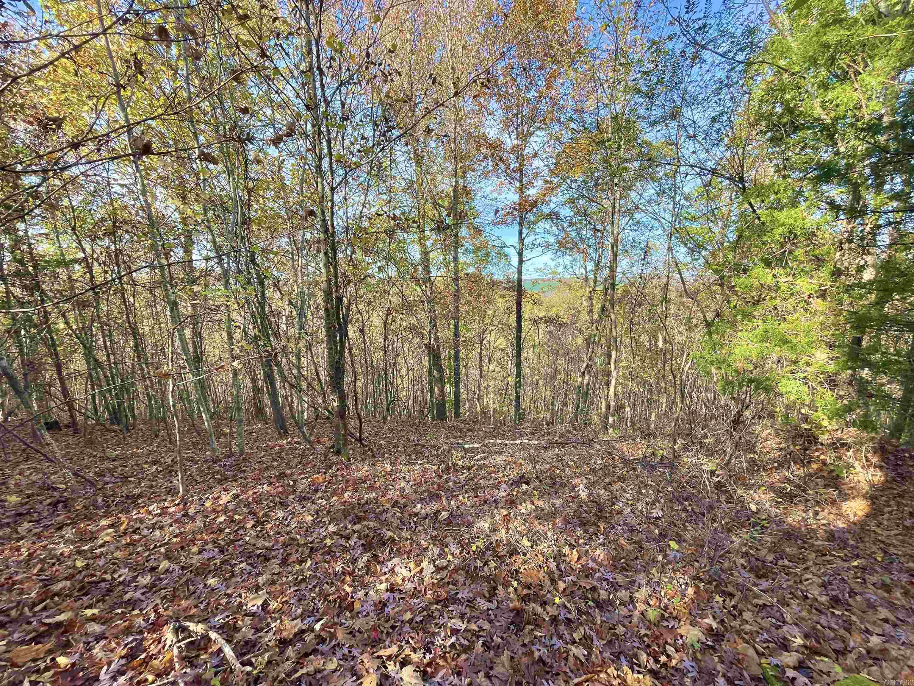 Lot 4 Eagle Ridge Dr. Greers Ferry, AR 72067