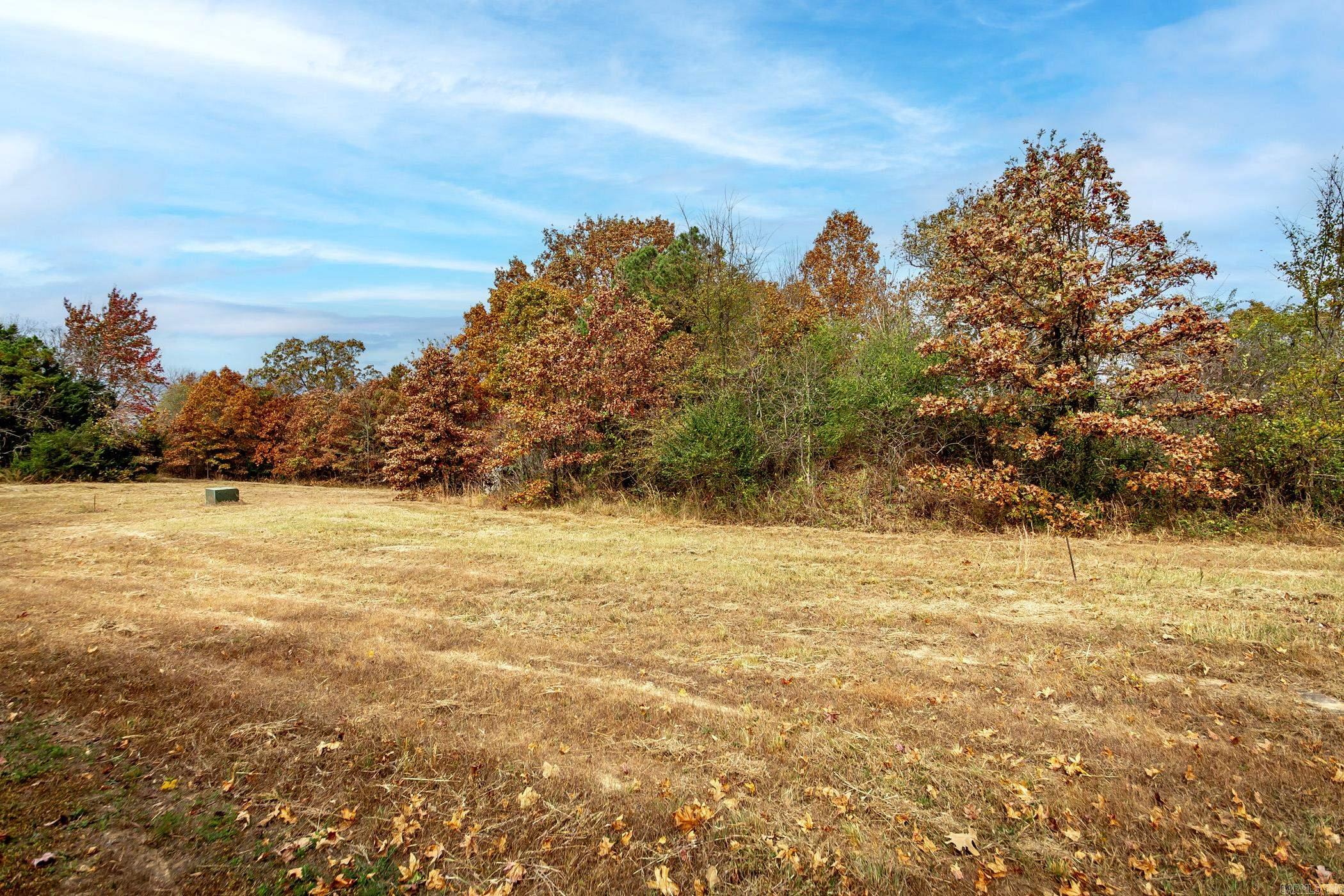 Lot 4 Eagle Ridge Dr. Greers Ferry, AR 72067