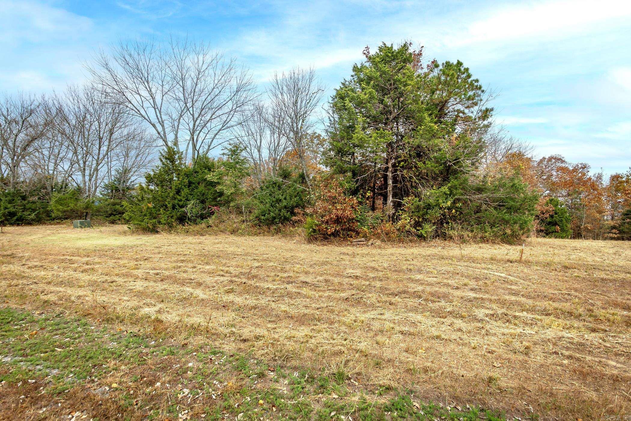 Lot 4 Eagle Ridge Dr. Greers Ferry, AR 72067