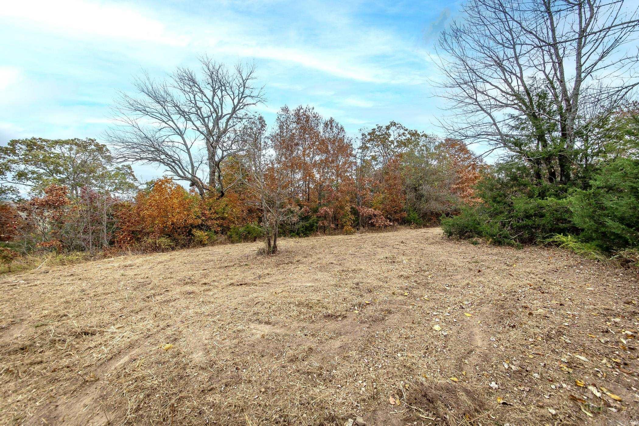 Lot 4 Eagle Ridge Dr. Greers Ferry, AR 72067