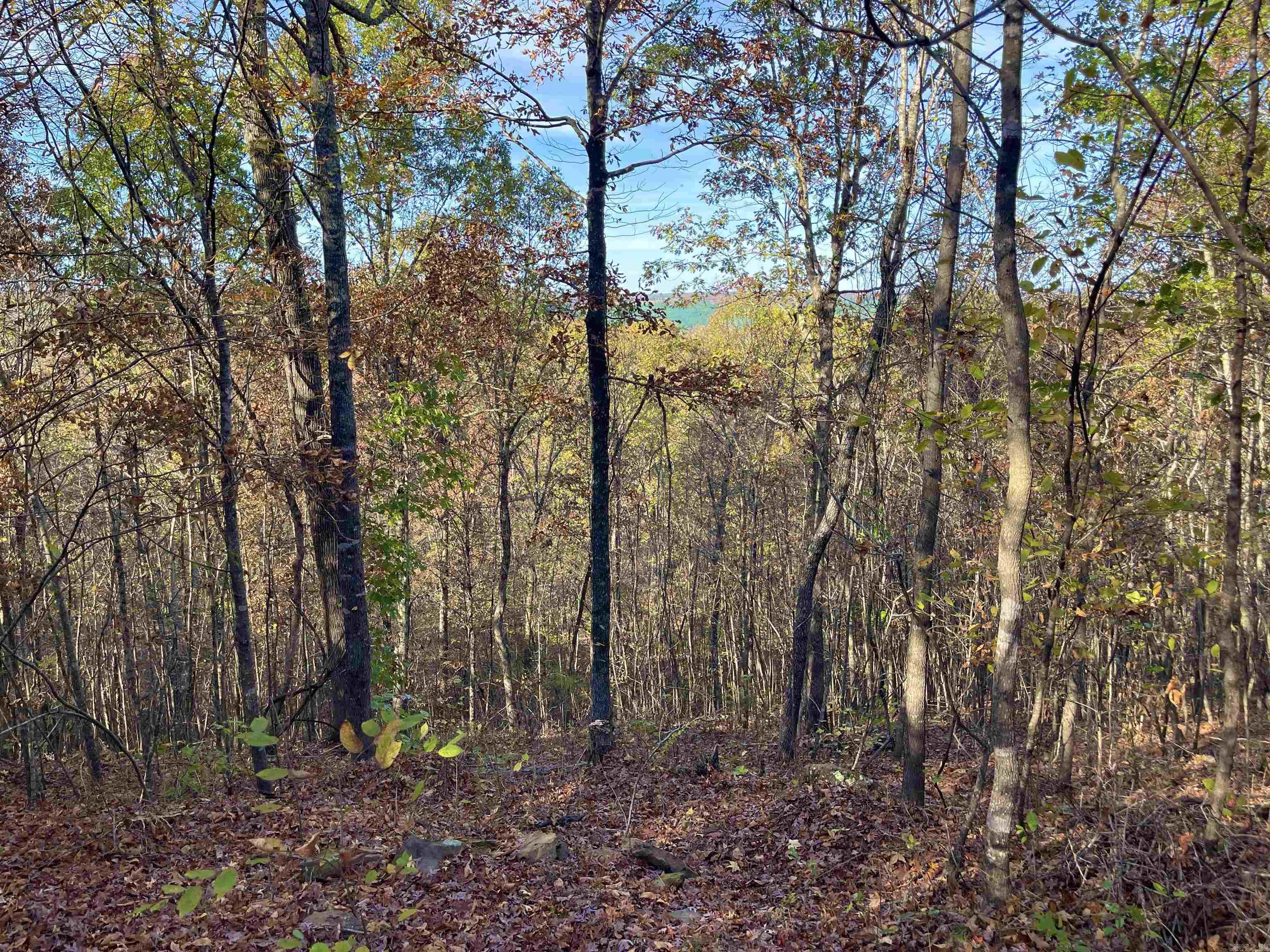 Lot 4 Eagle Ridge Dr. Greers Ferry, AR 72067