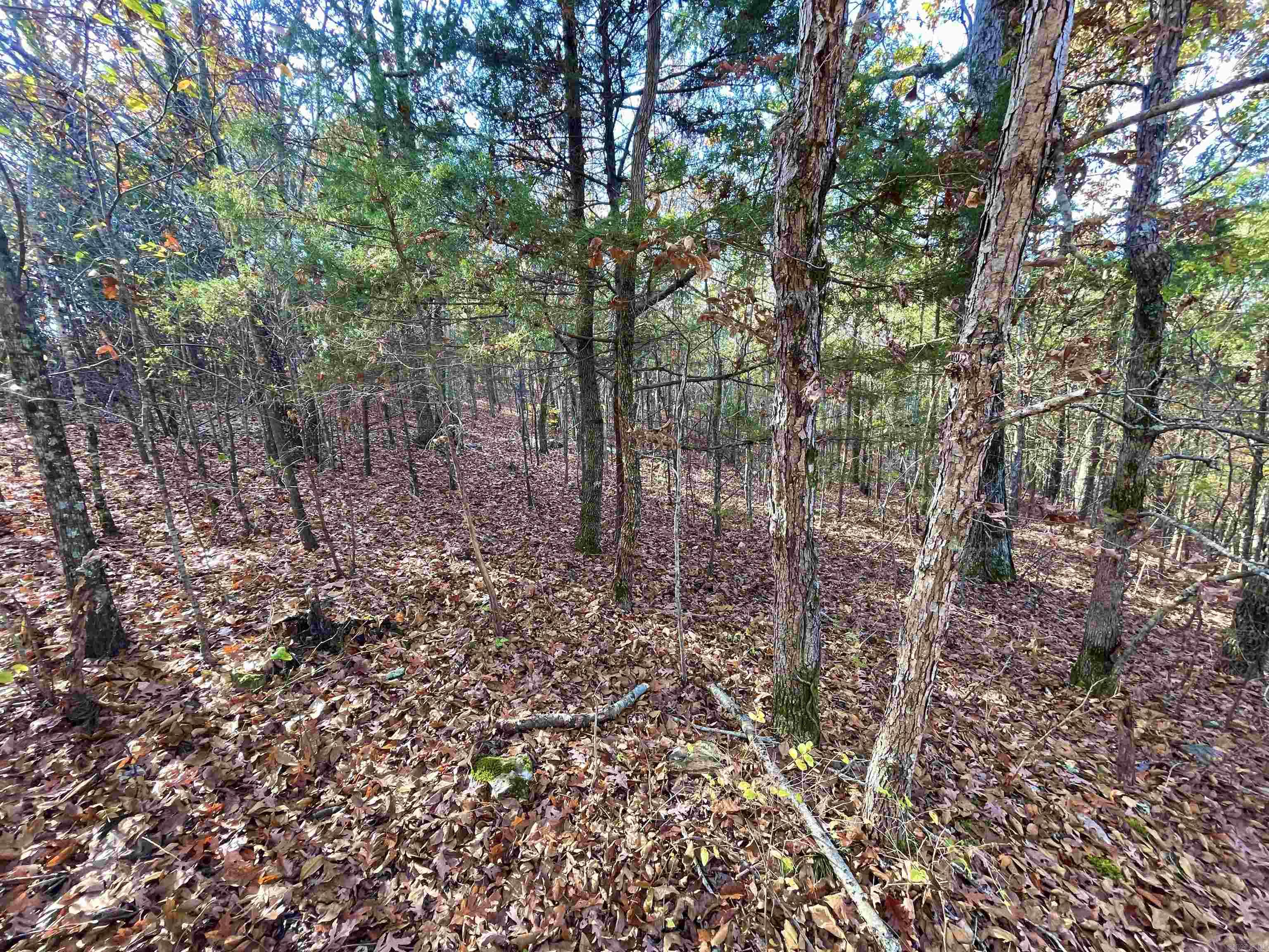 Lot 4 Eagle Ridge Dr. Greers Ferry, AR 72067