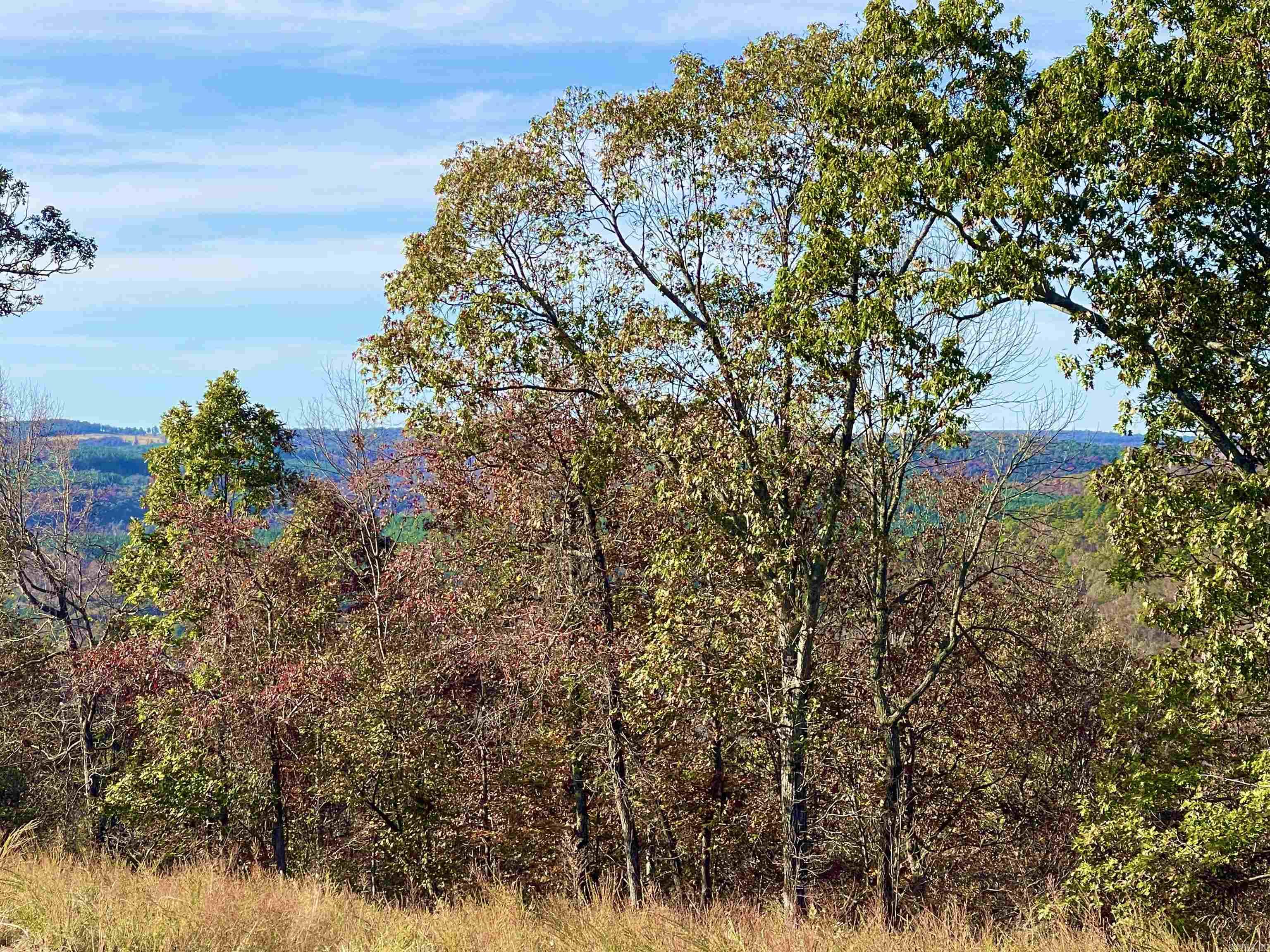 Lot 4 Eagle Ridge Dr. Greers Ferry, AR 72067