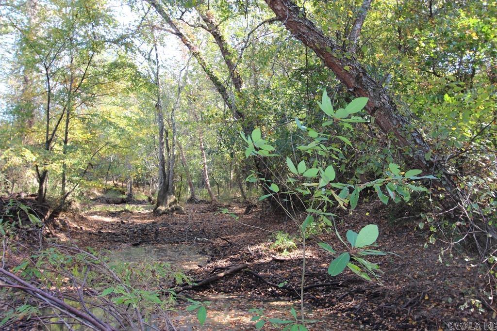 26A  Round Mountain  Conway, AR