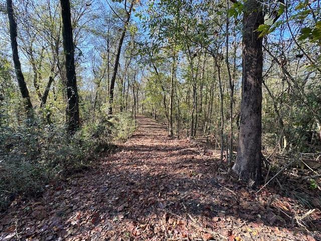 000  Cedar Glade  Pangburn, AR