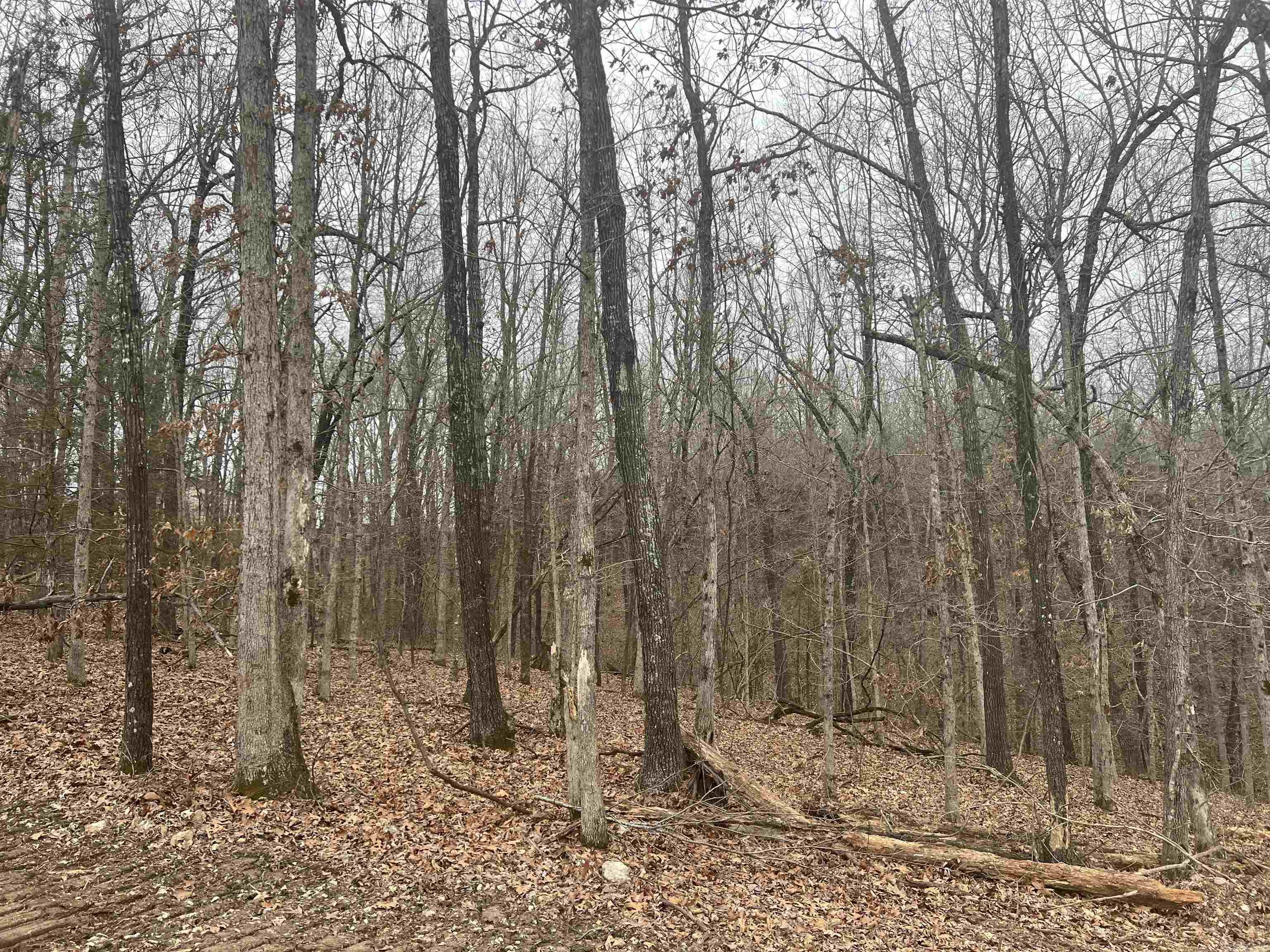 1.87 AC  Dubuque  Omaha, AR
