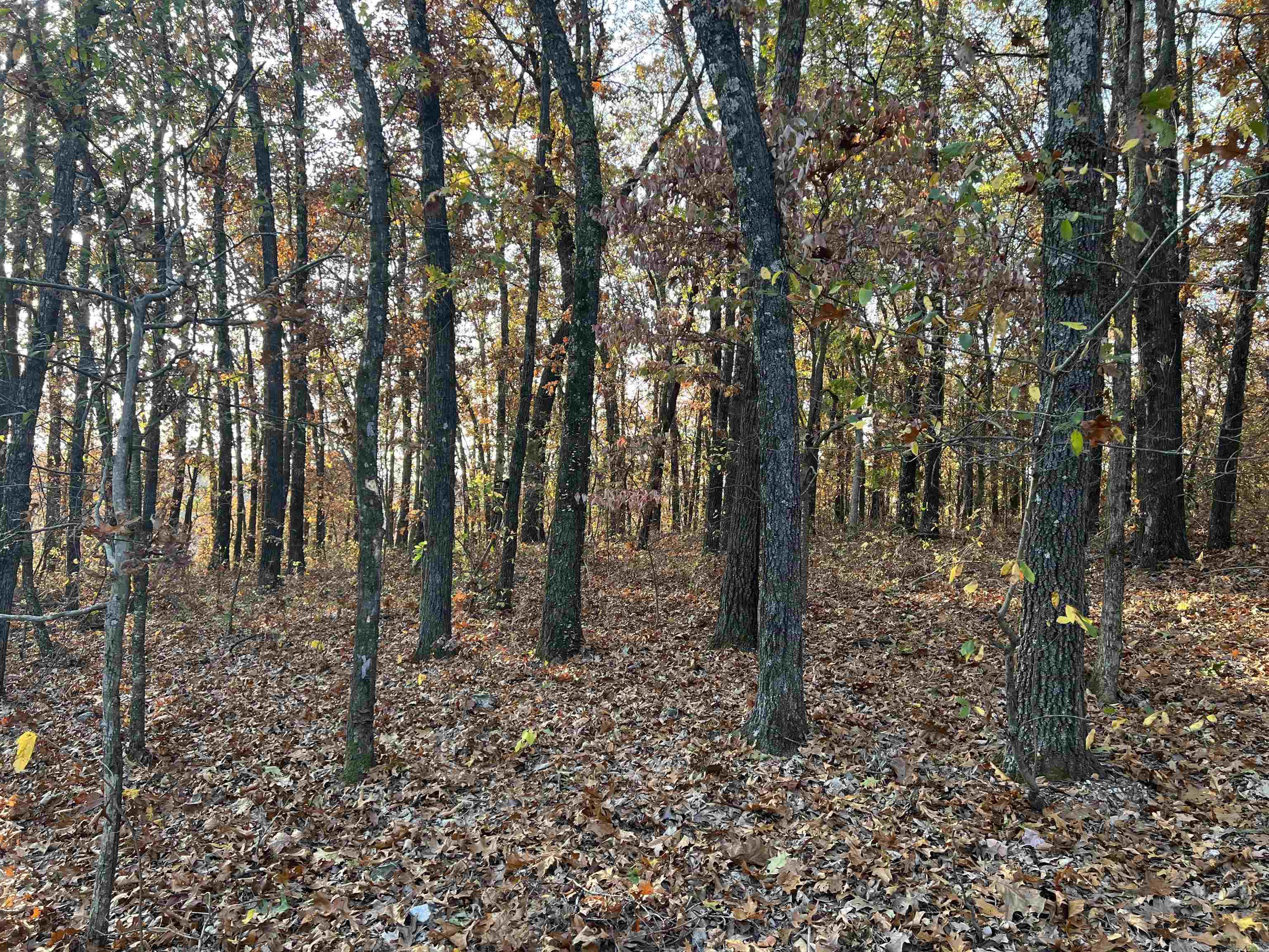 37.64 AC  Dubuque  Omaha, AR