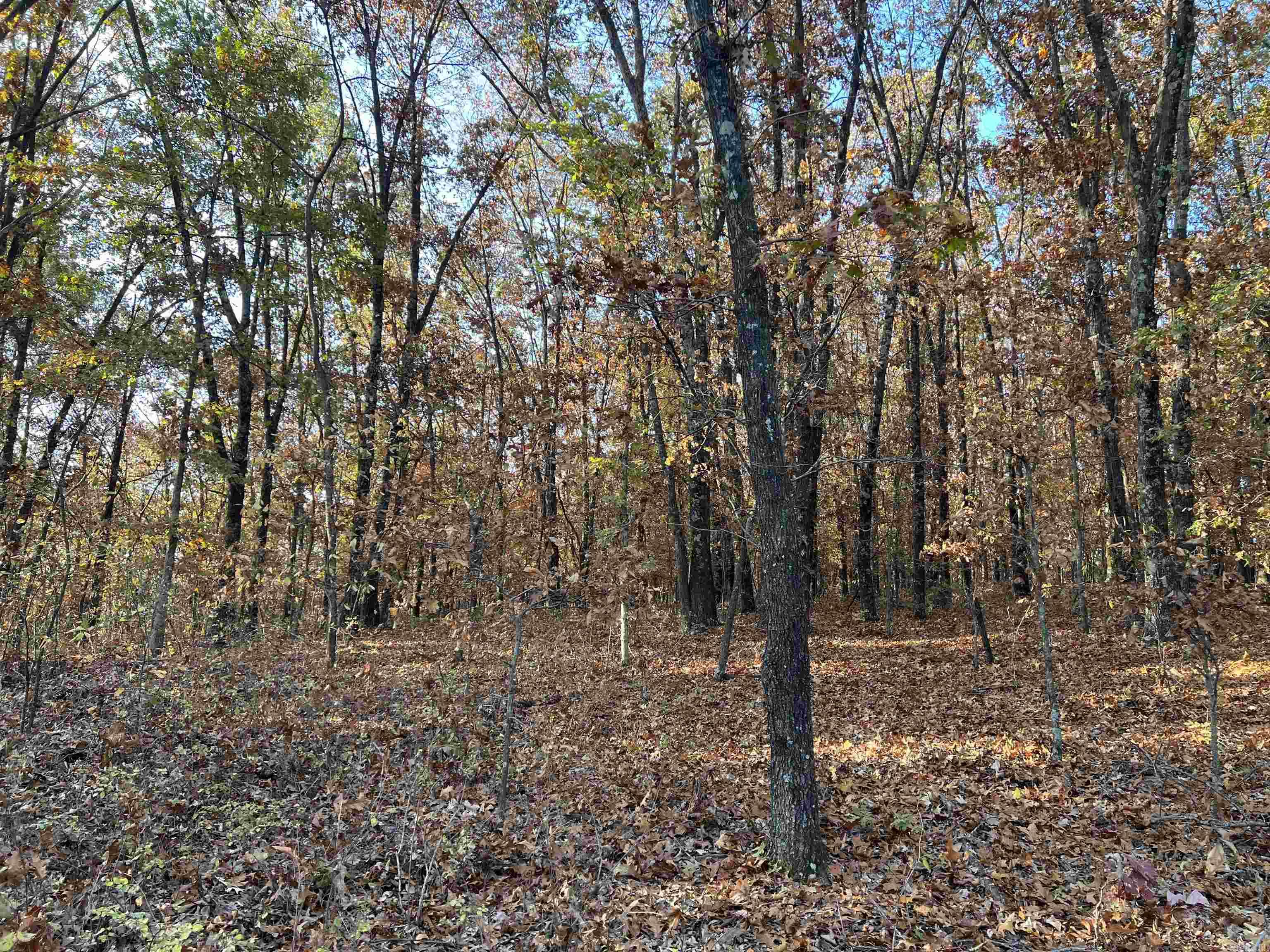 37.64 AC  Dubuque  Omaha, AR