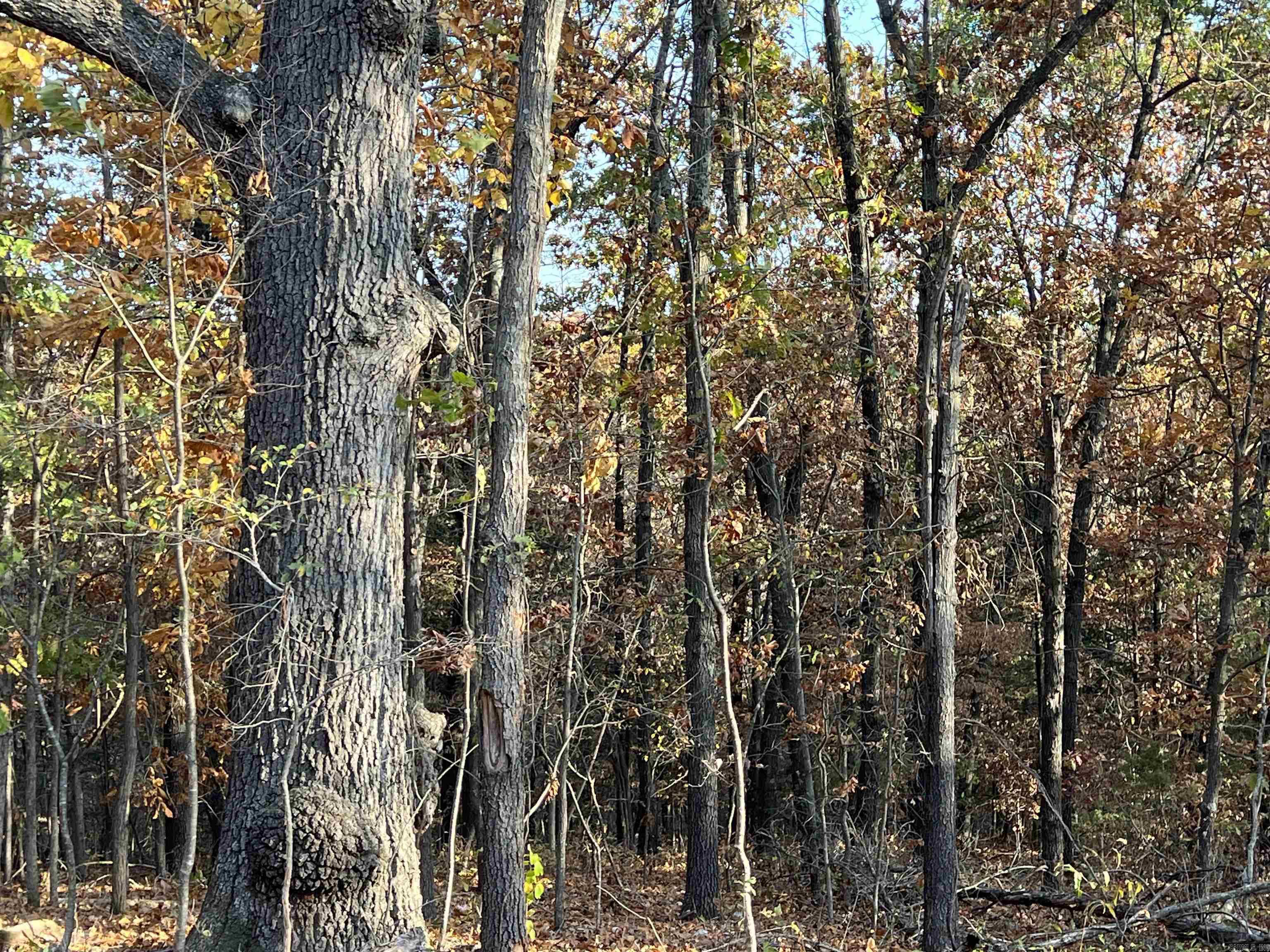 37.64 AC  Dubuque  Omaha, AR