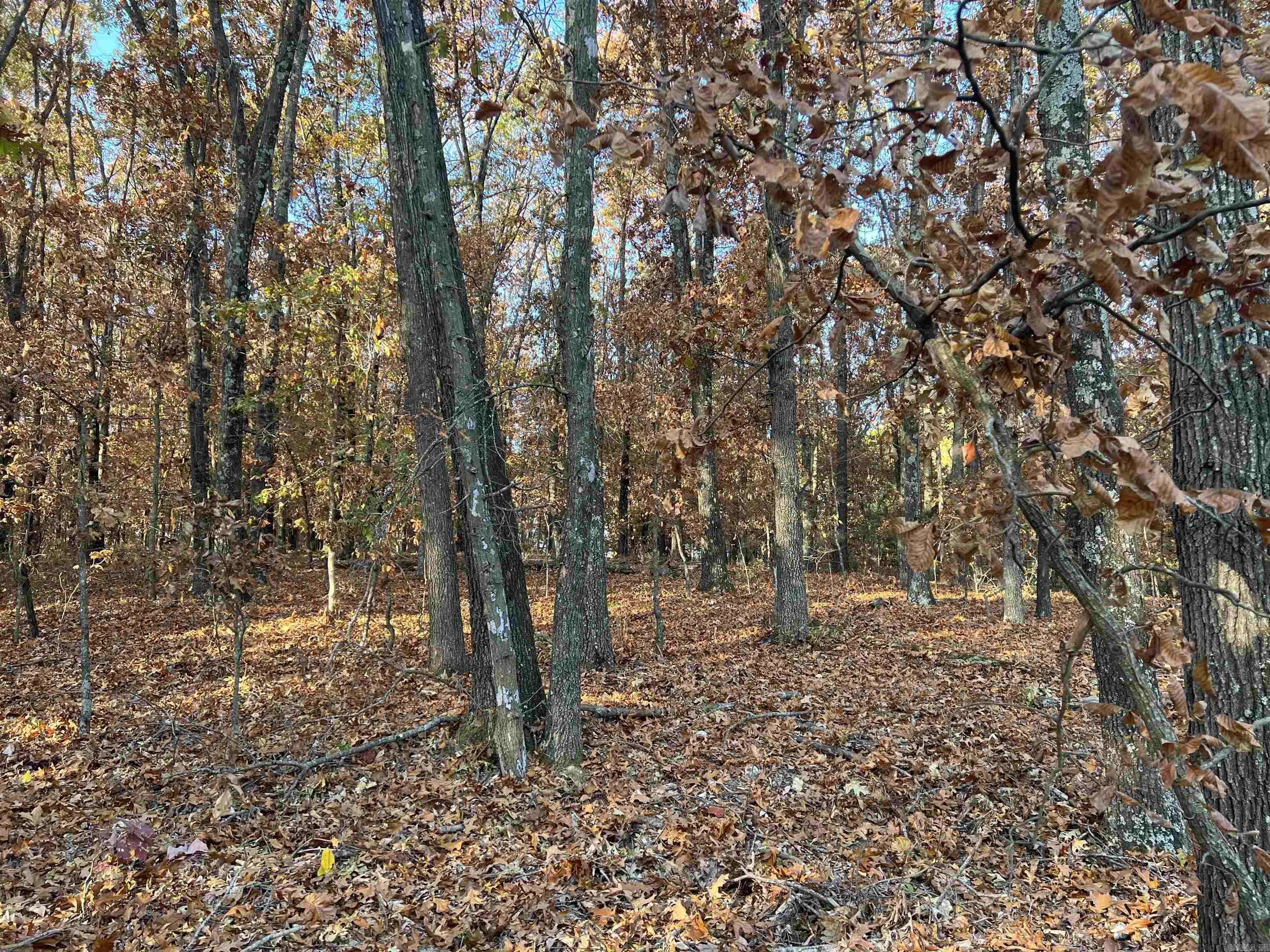 37.64 AC  Dubuque  Omaha, AR