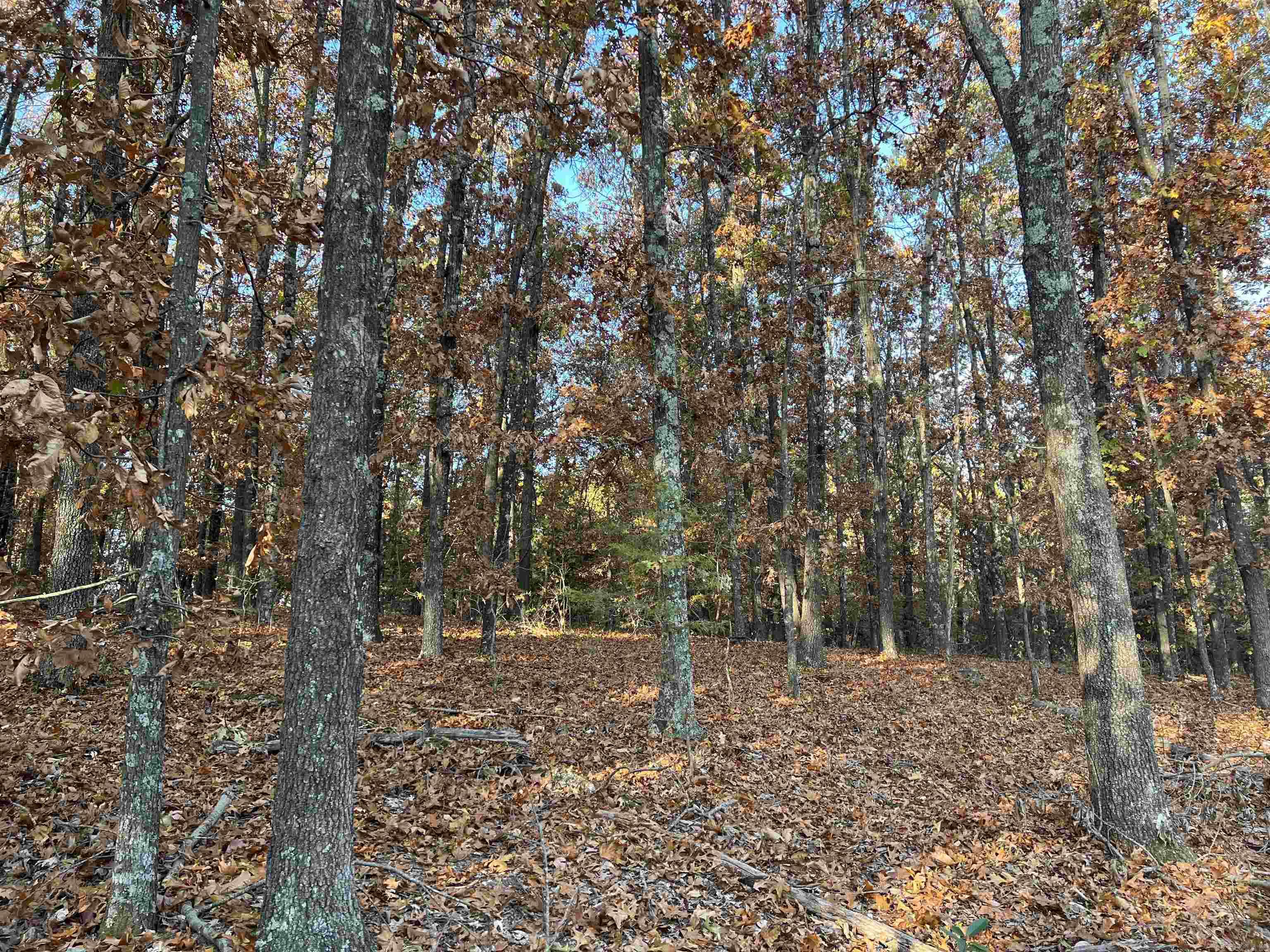 37.64 AC  Dubuque  Omaha, AR