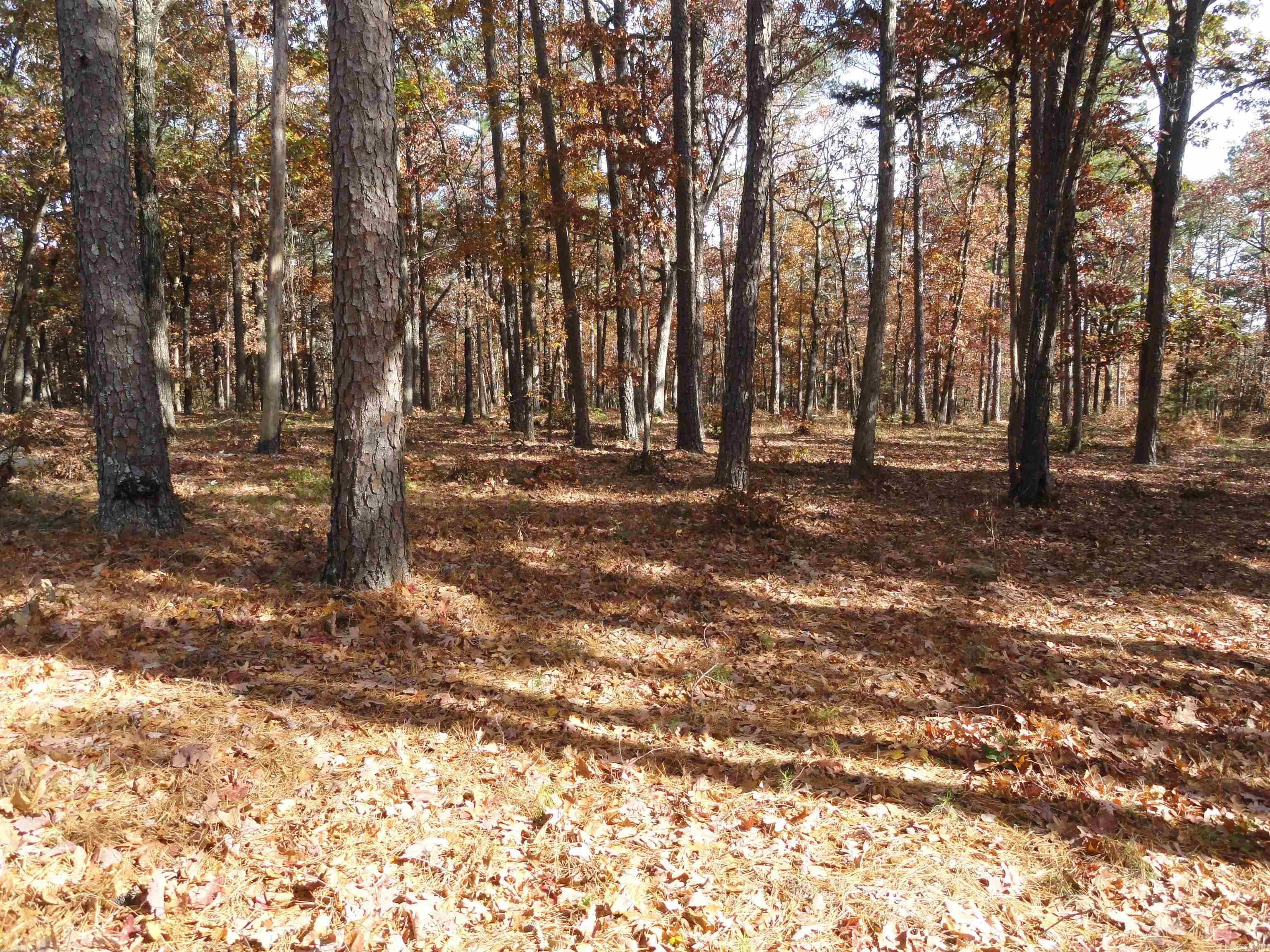 305 Deer Run Drive Leslie, AR 72645