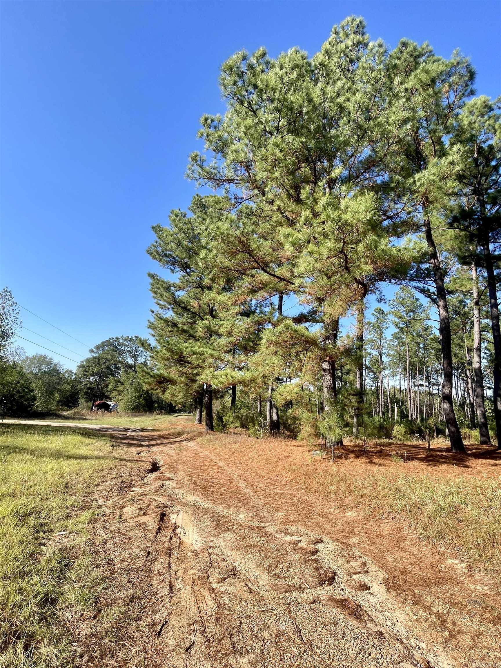 1407  Miller County 3  Doddridge, AR