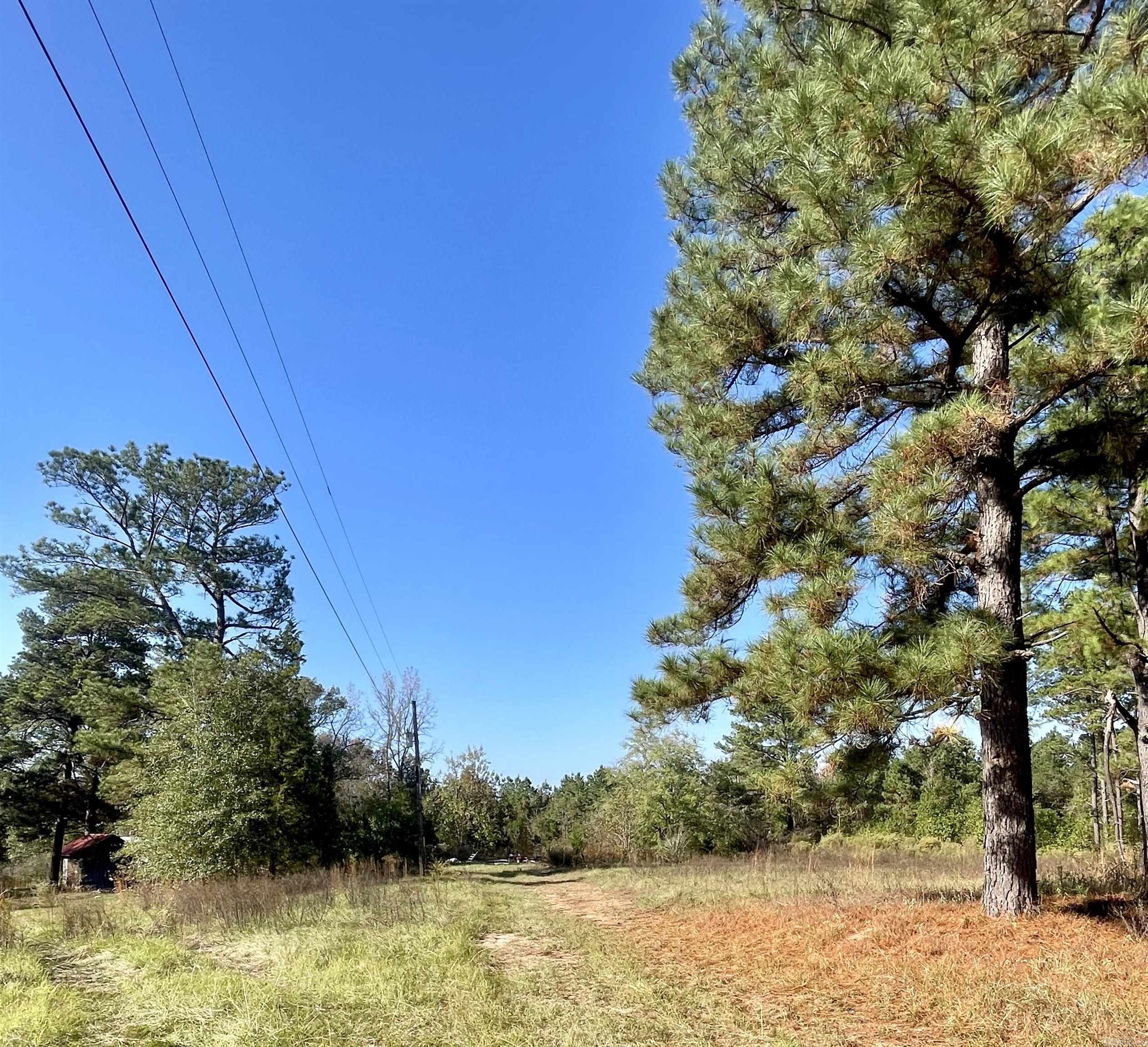 1407  Miller County 3  Doddridge, AR
