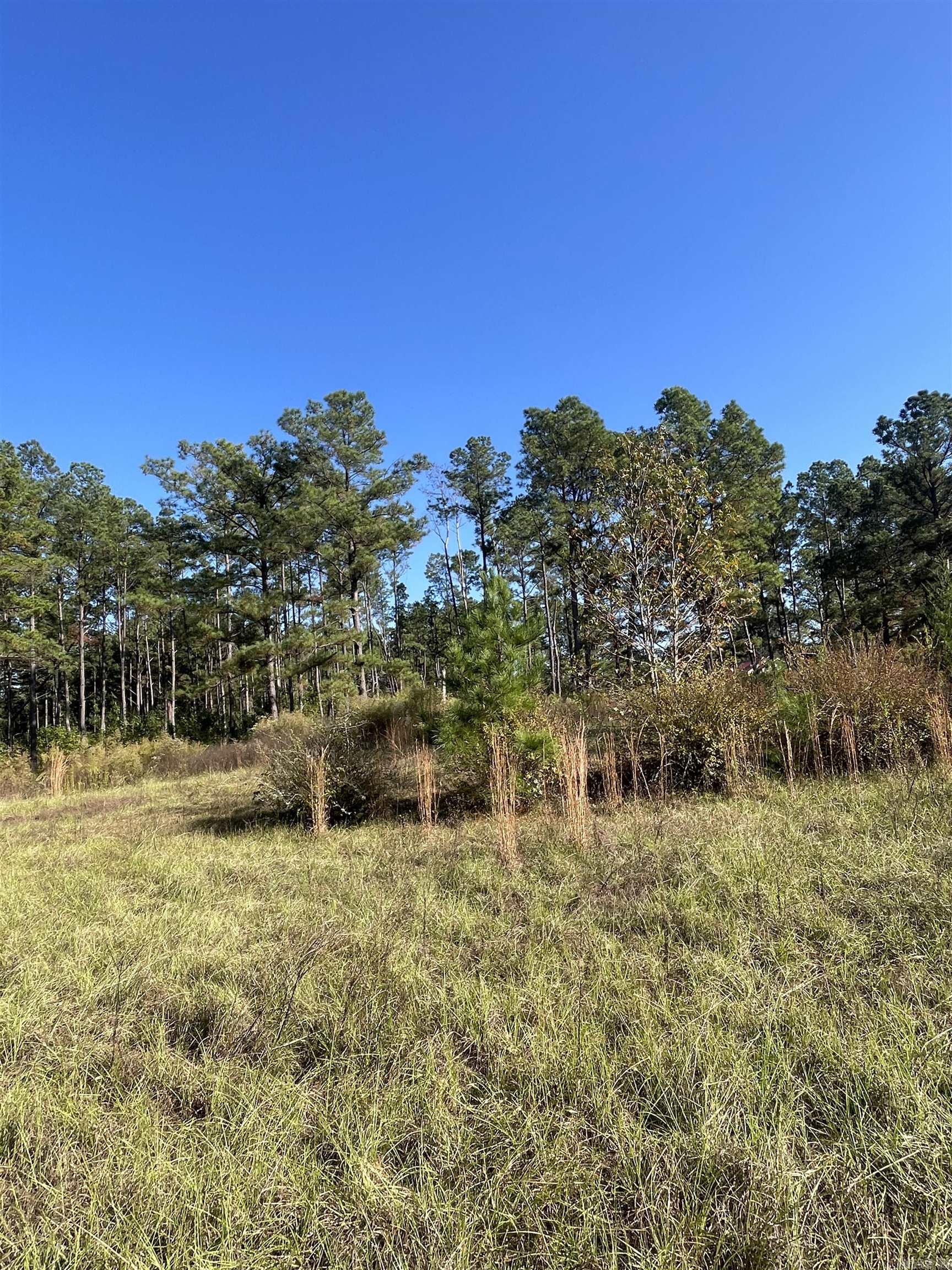 1407  Miller County 3  Doddridge, AR