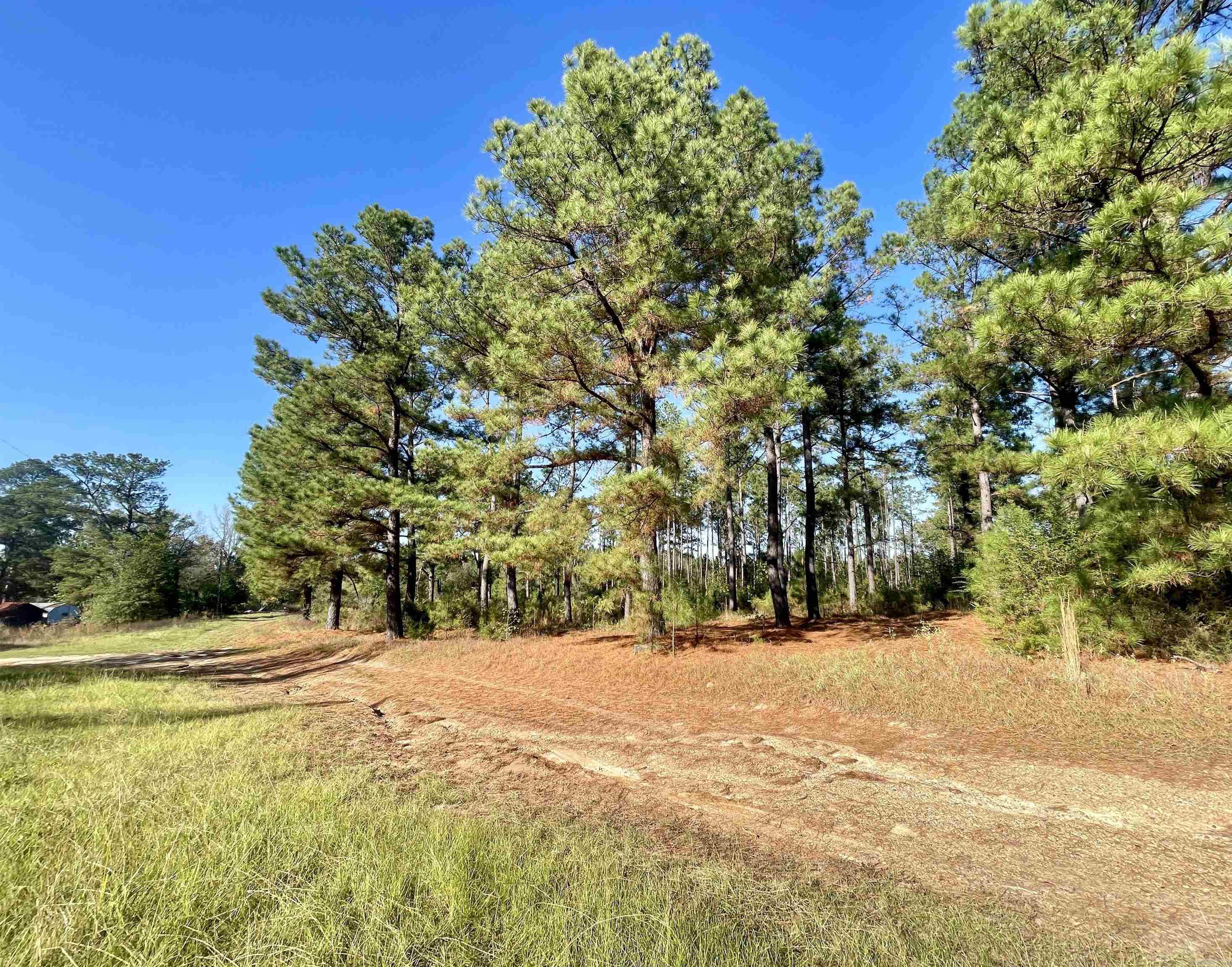 1407  Miller County 3  Doddridge, AR
