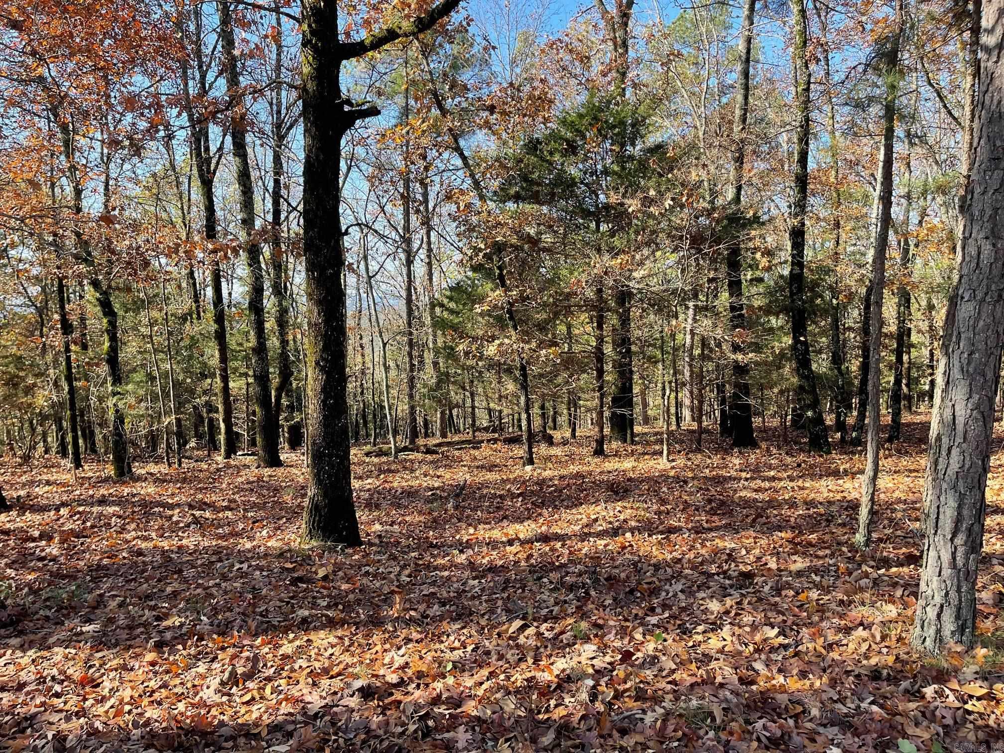 Lot 267R Blk 15 Ridgeview Drive Drive